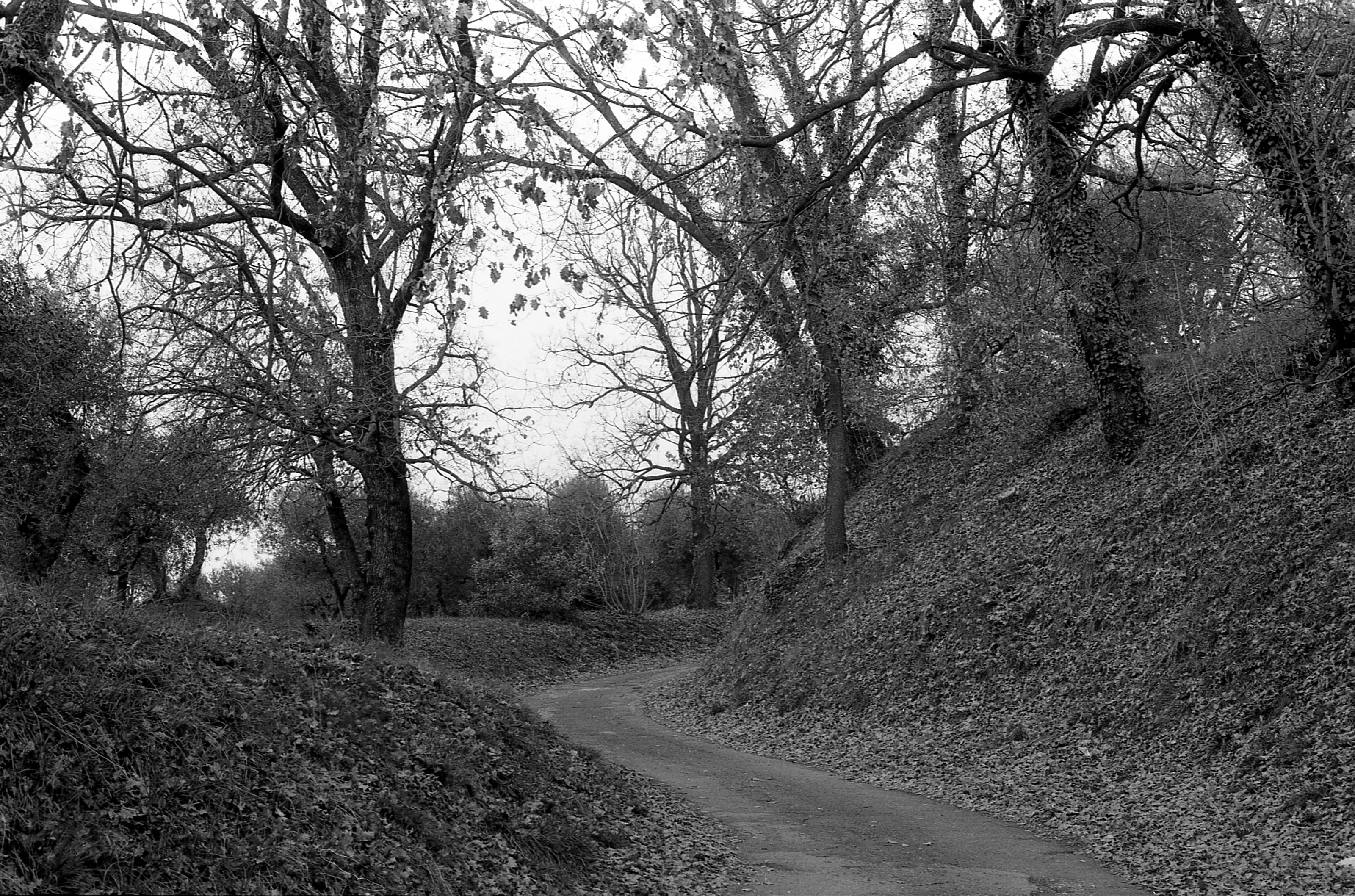 a bend in the road