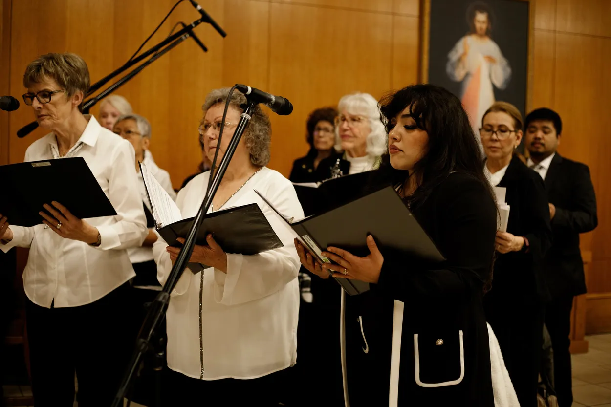 Entry 20273221