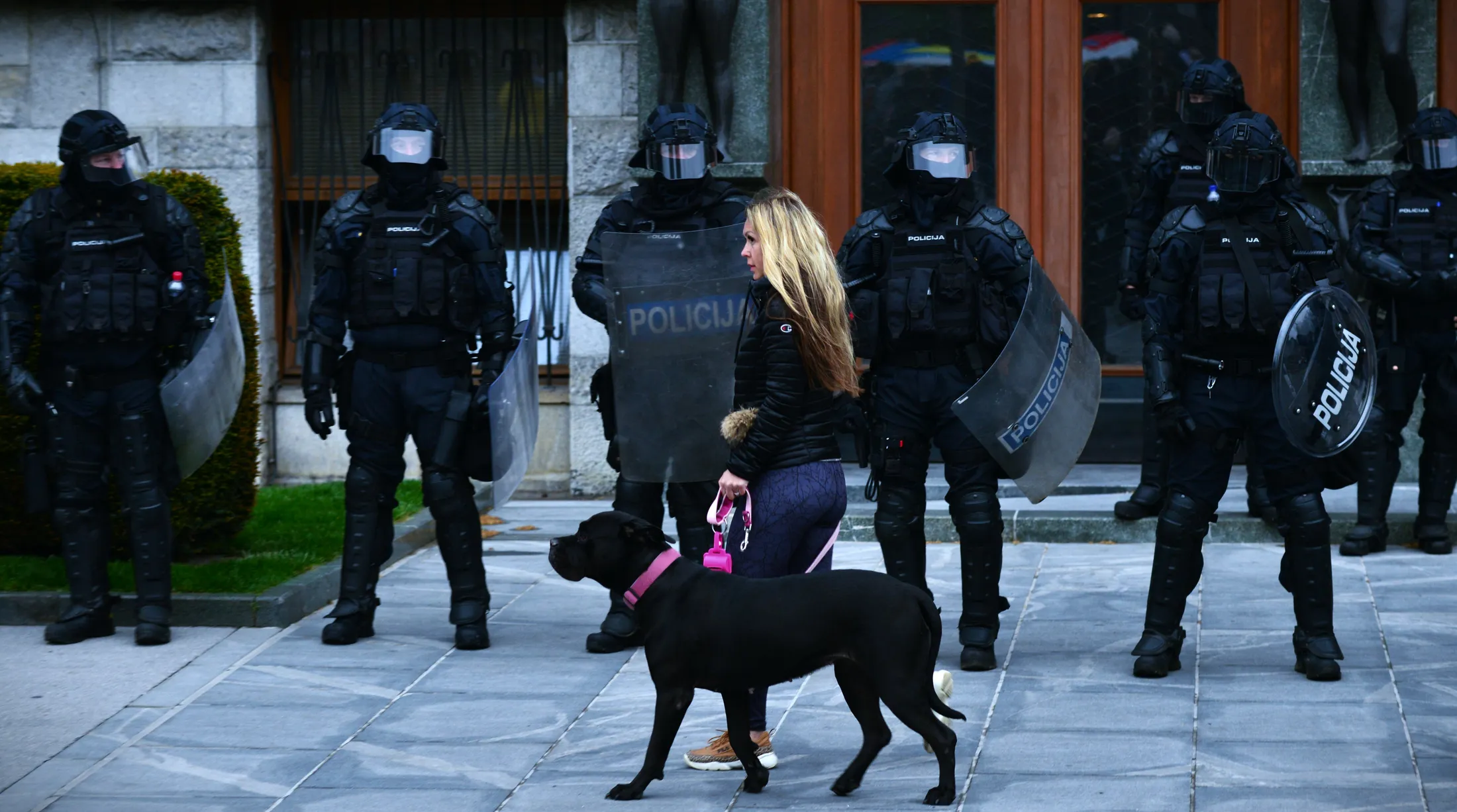 Entry 24084287