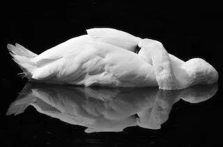 Drifting off