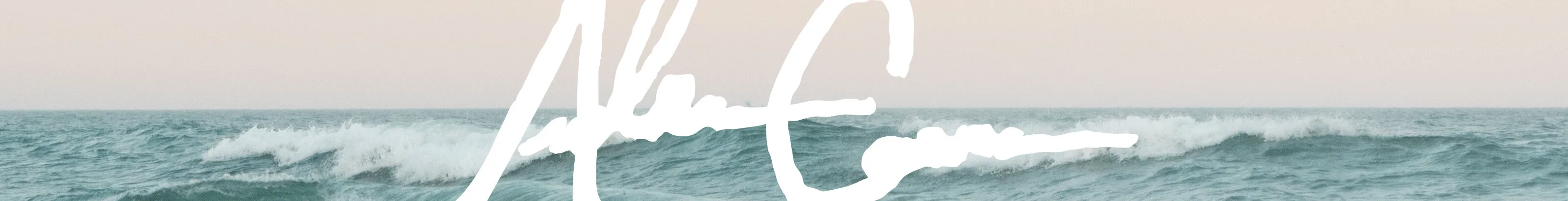 Banner image