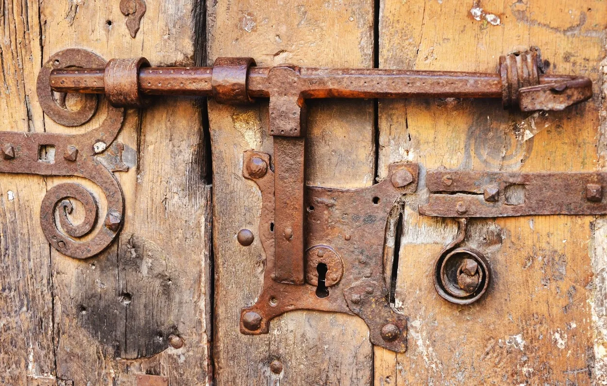 Entry 20291187