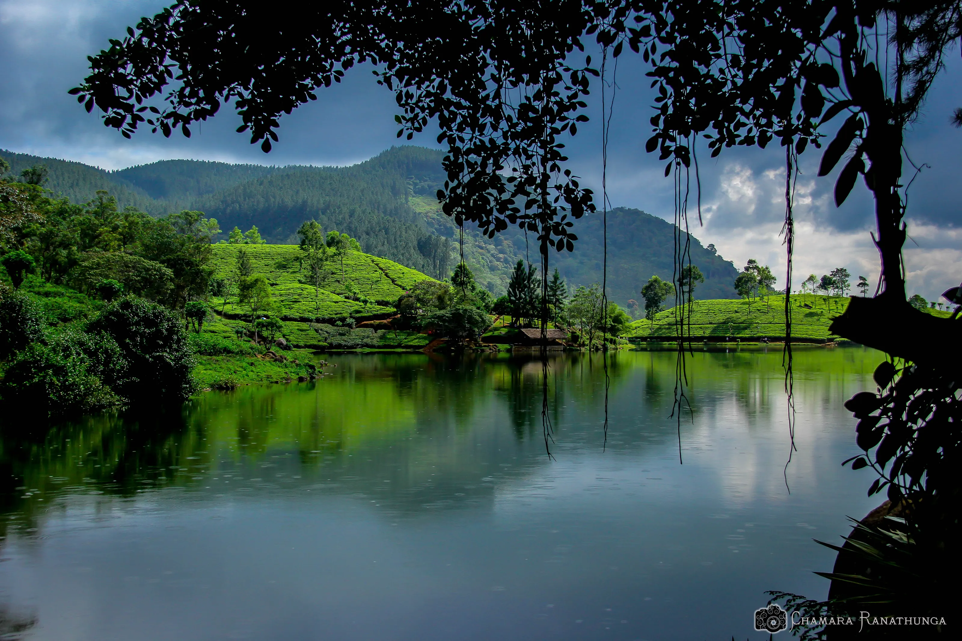 Tranquility of Nature
