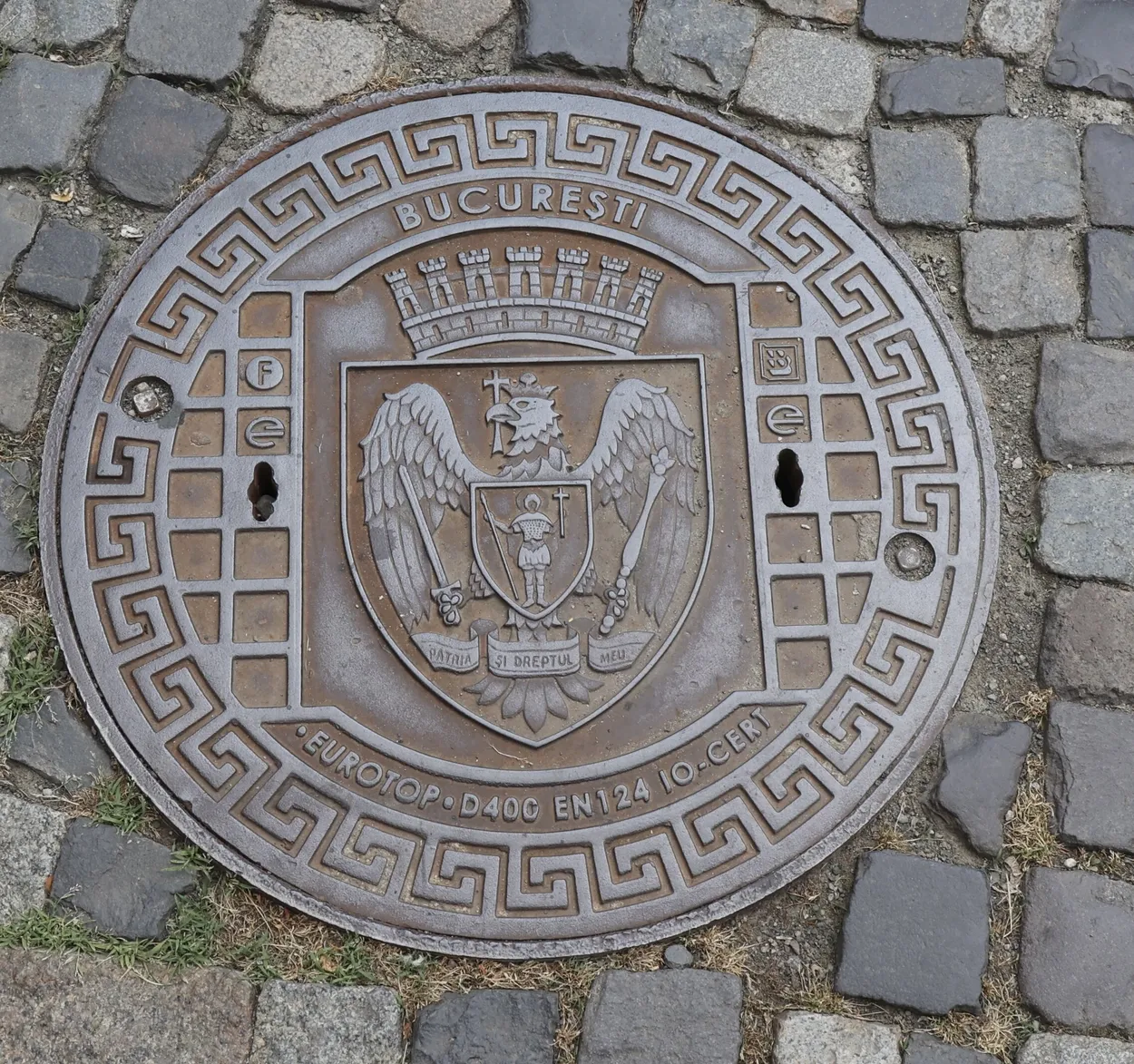 Entry 20307406