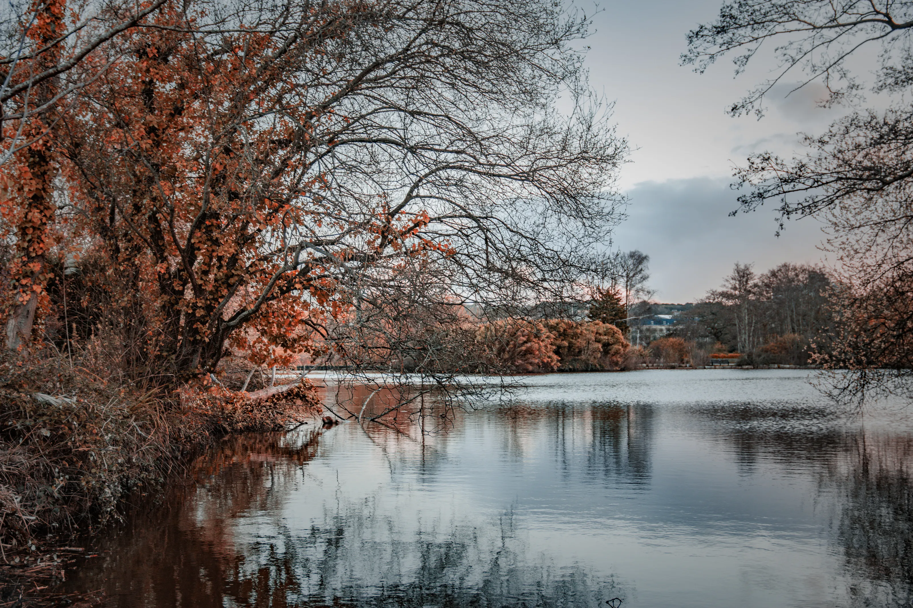 Park lake