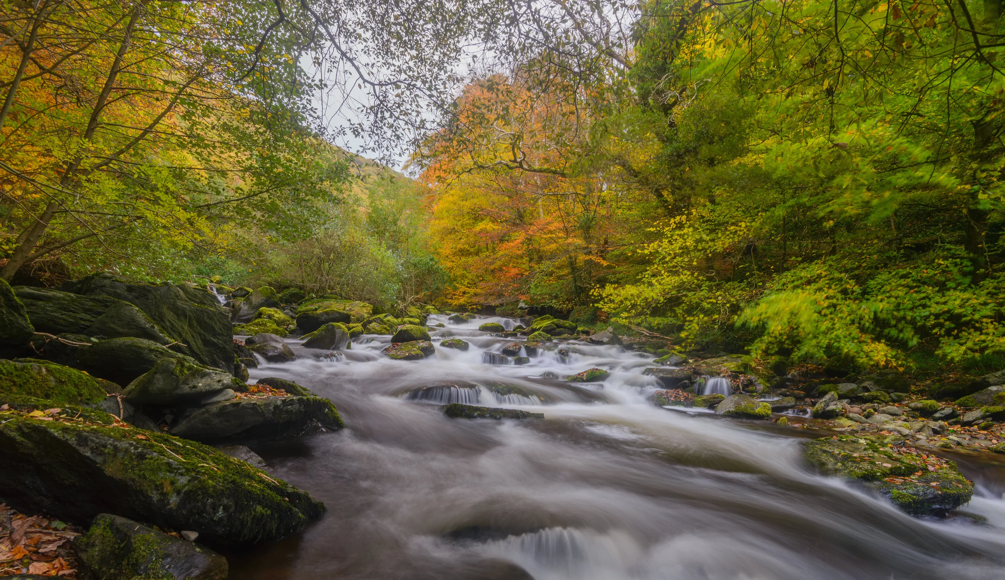 Exmoor Gold - The Lyn in Autumn