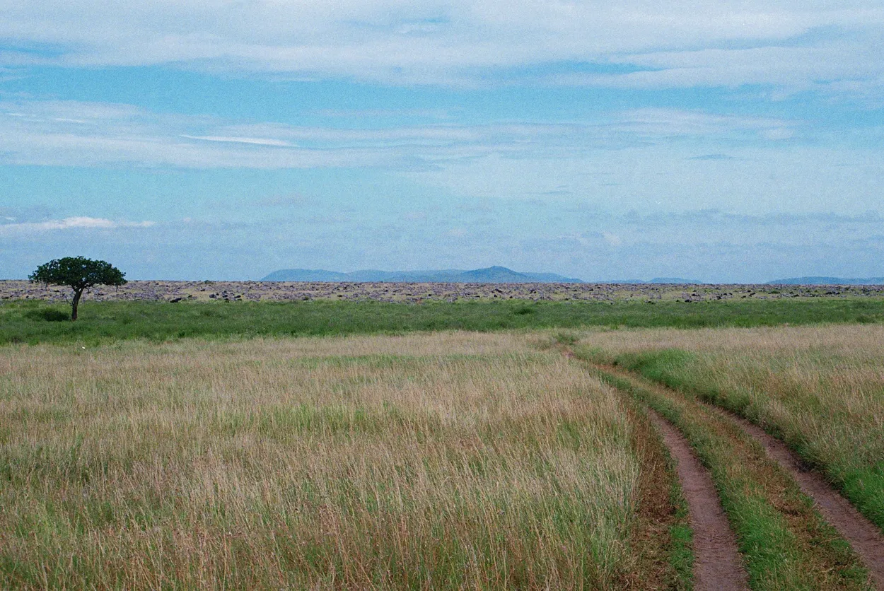 Entry 20338846