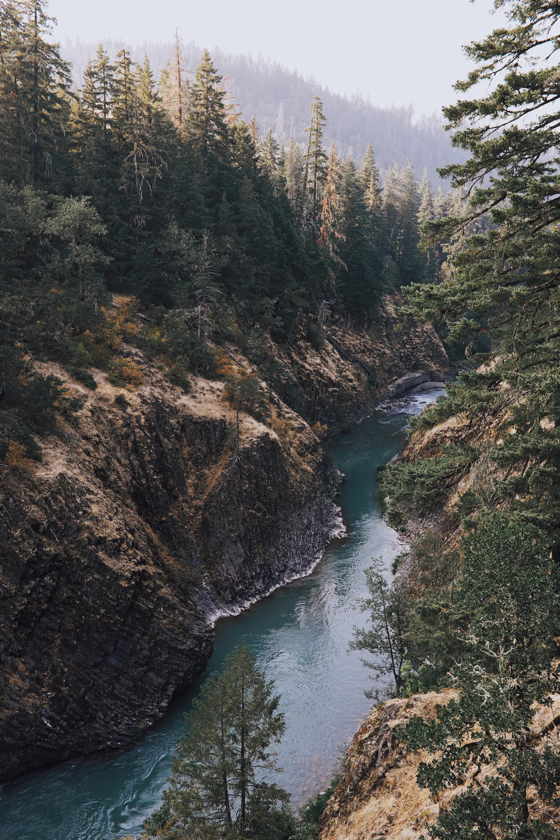 Oregon River