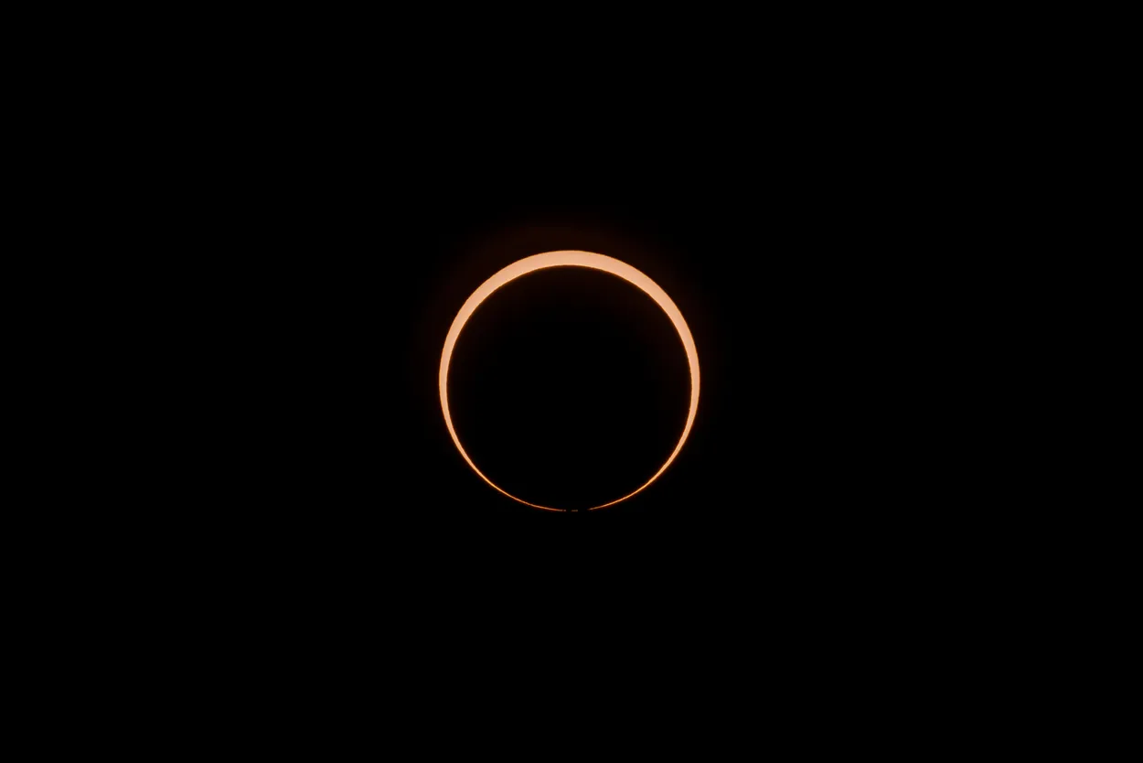 Entry 20349329