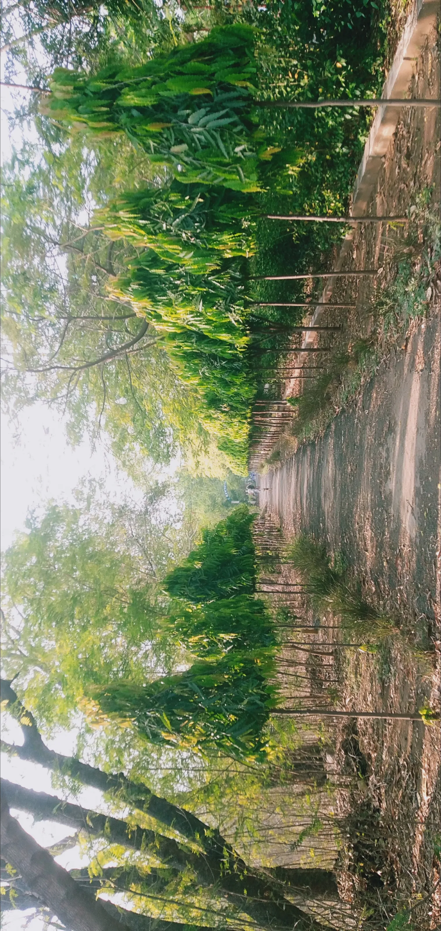 Path less travelled!