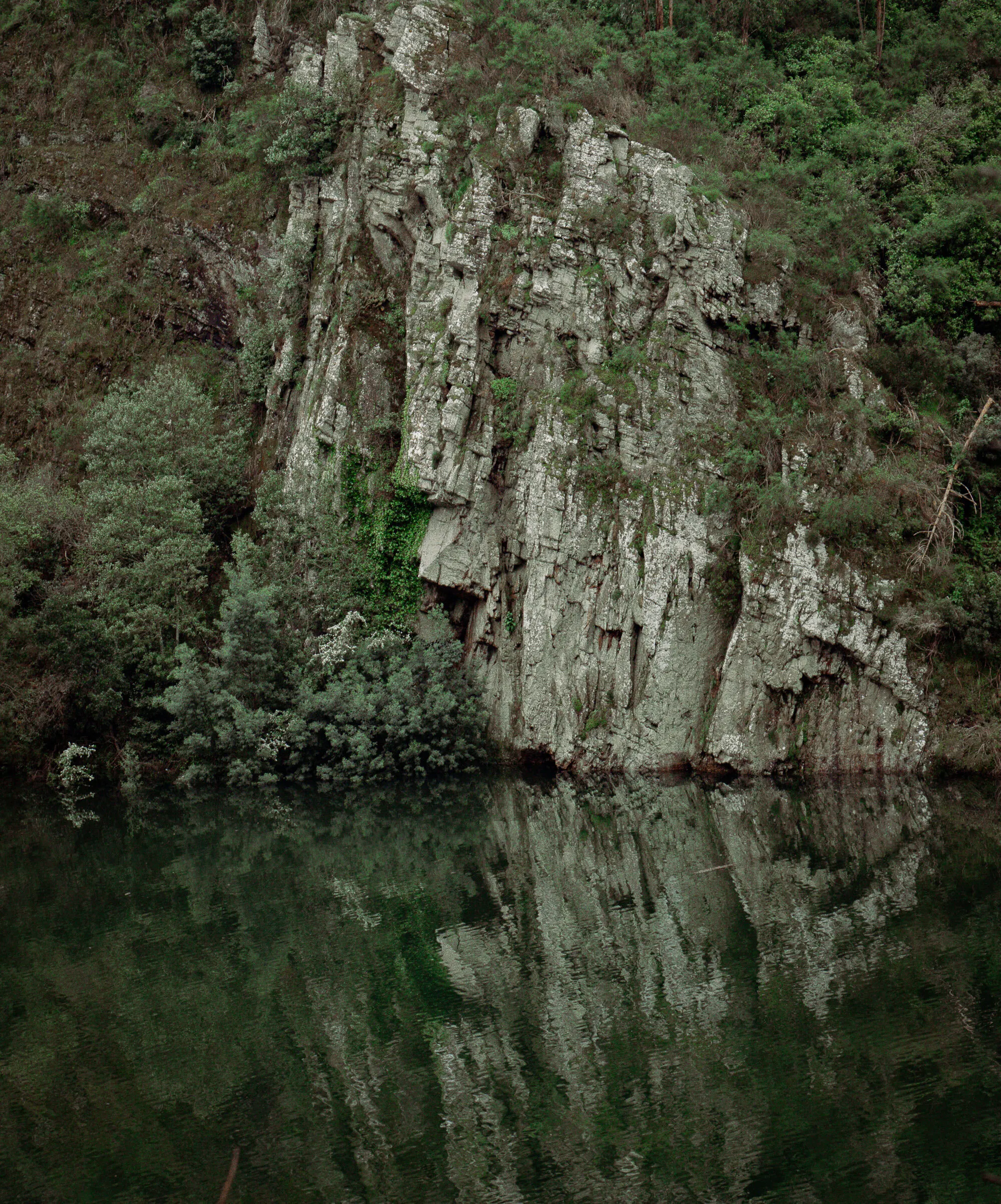 Peak into green waters