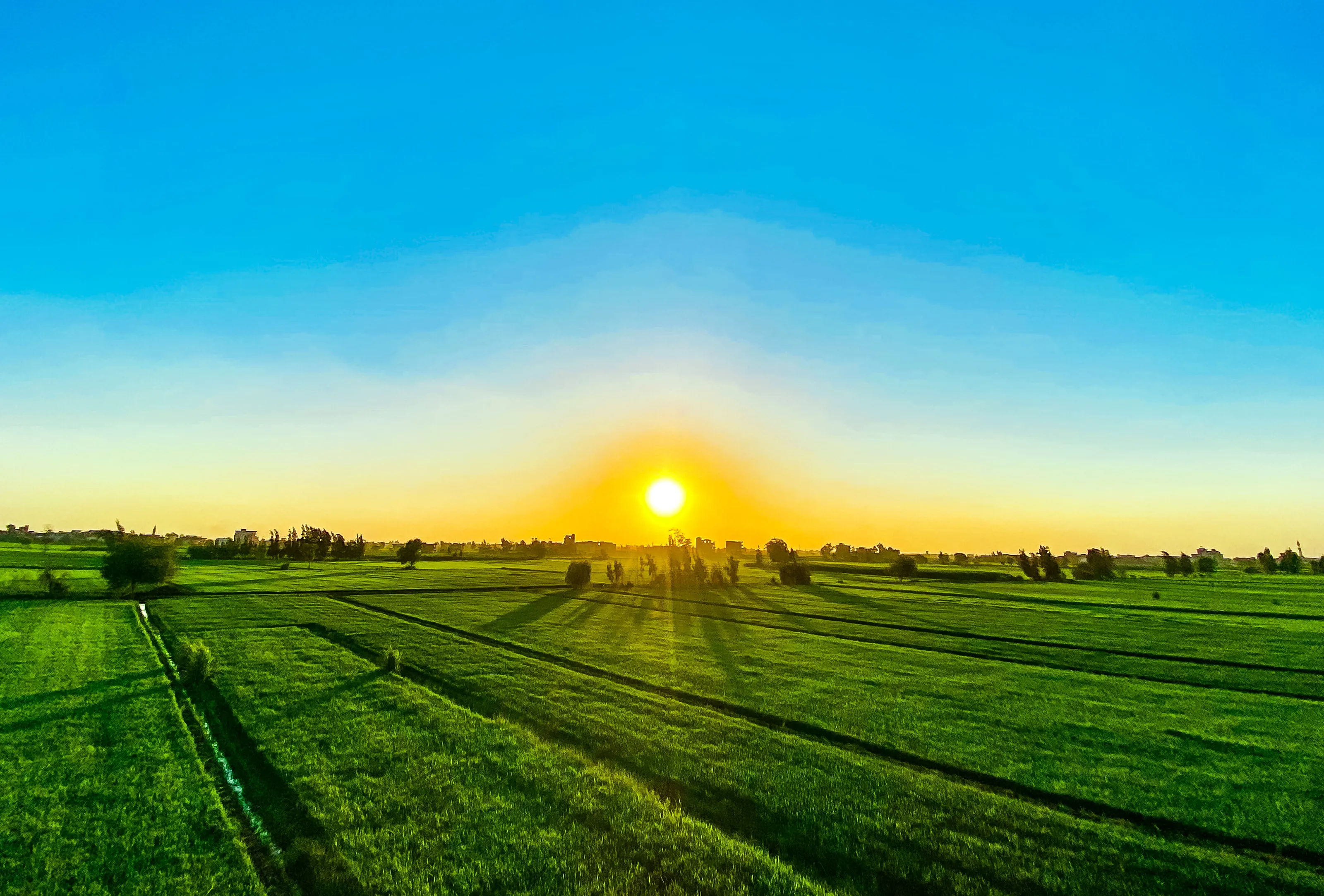 The beauty of the Egyptian countryside.