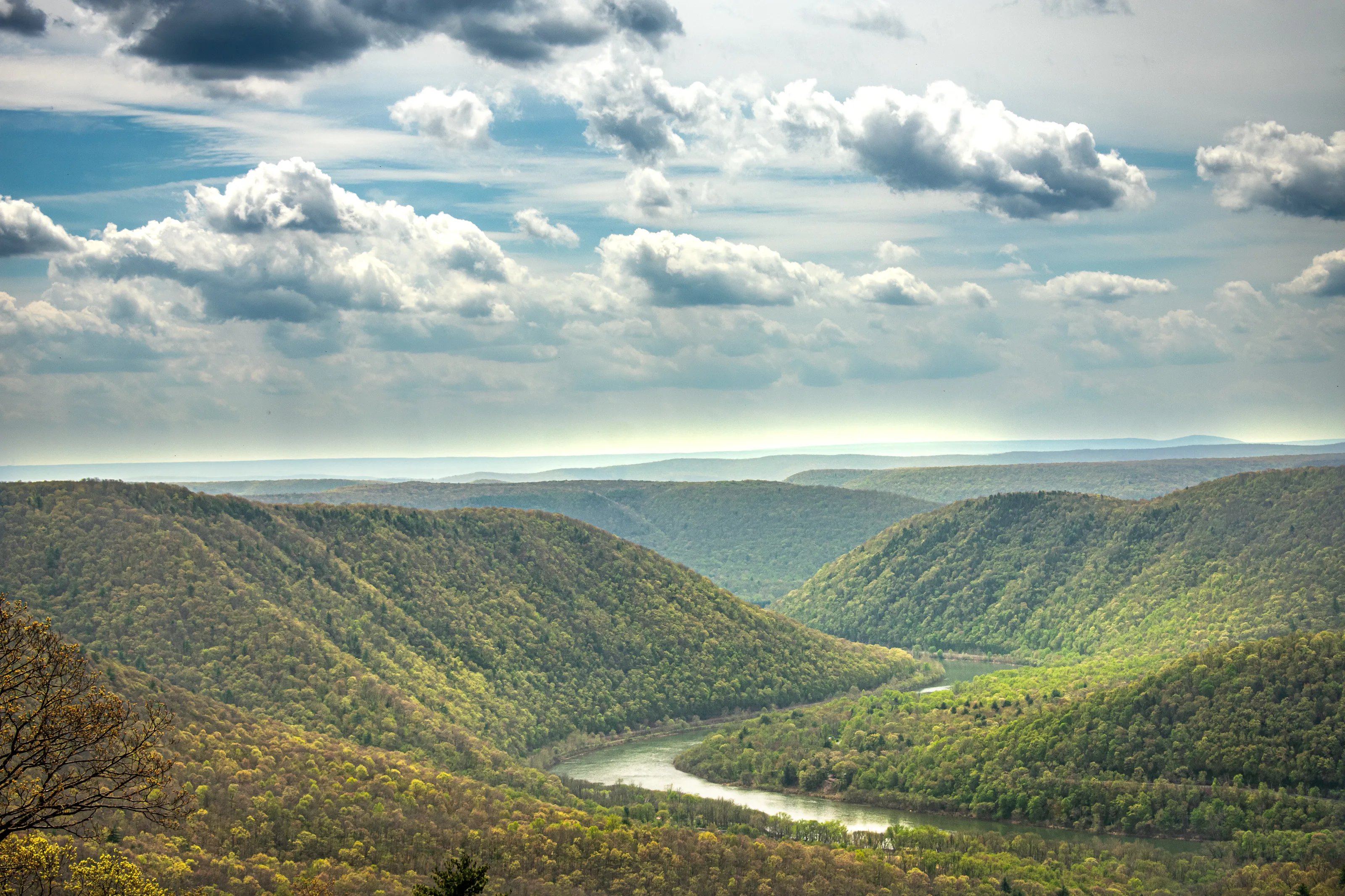 Hyner View