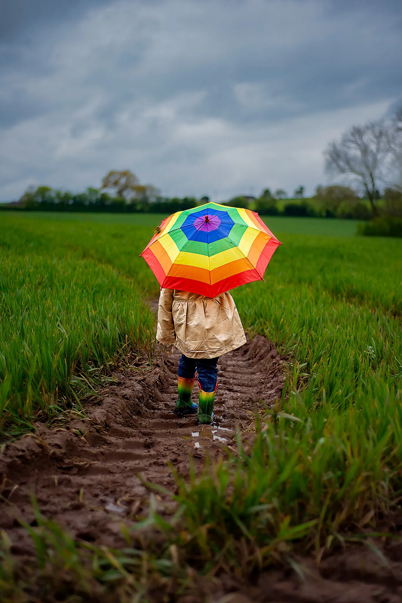 When it rains look for rainbows