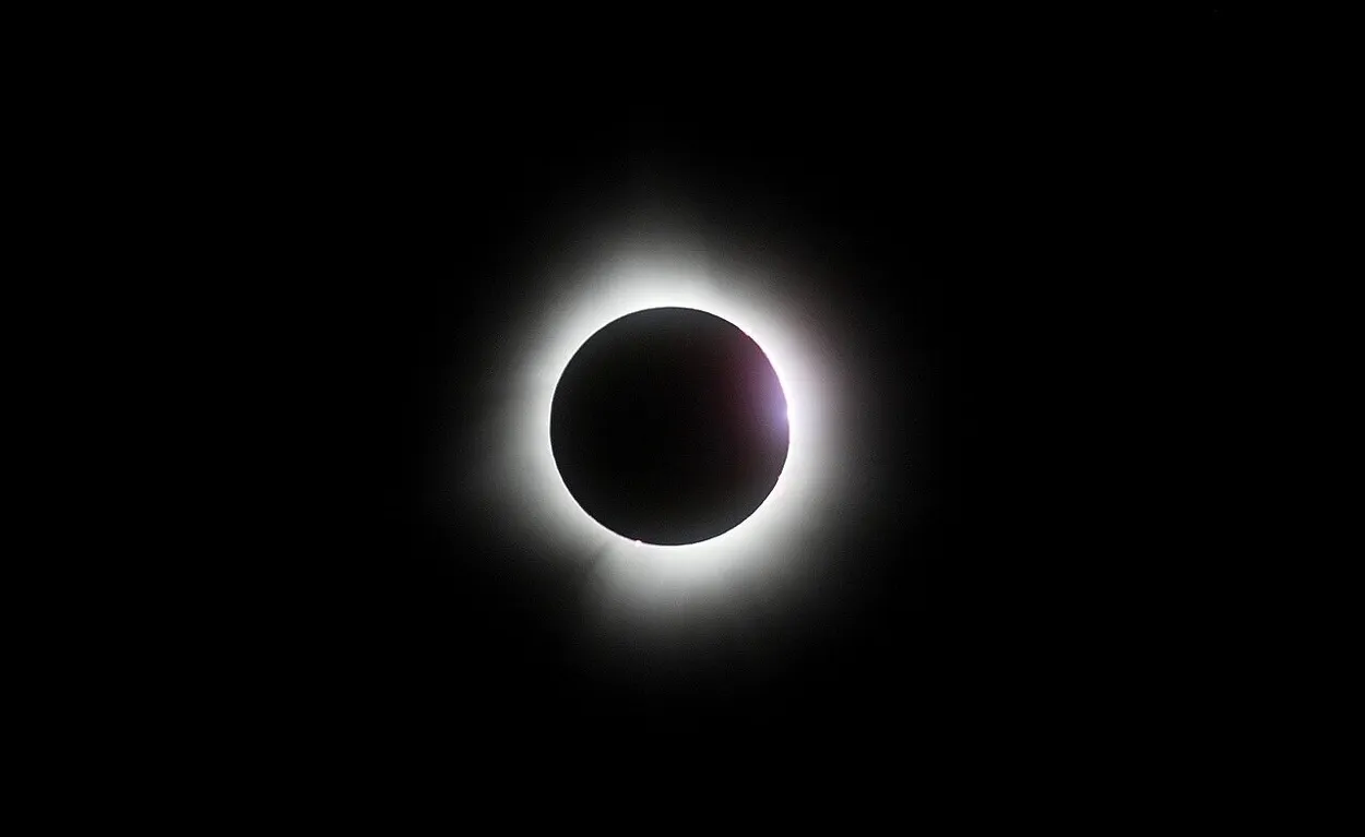 Entry 20390528