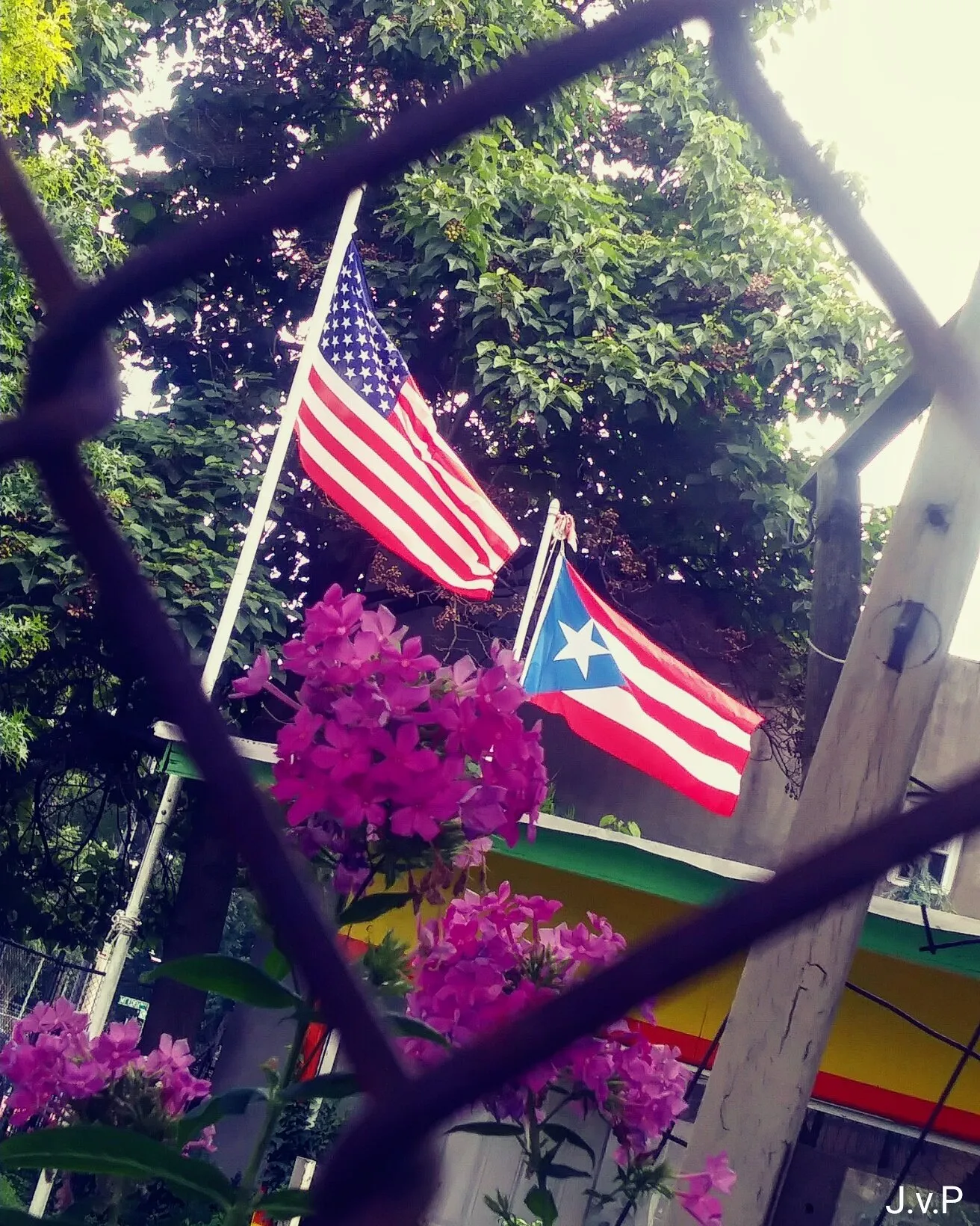 I'm American & Puerto Rican