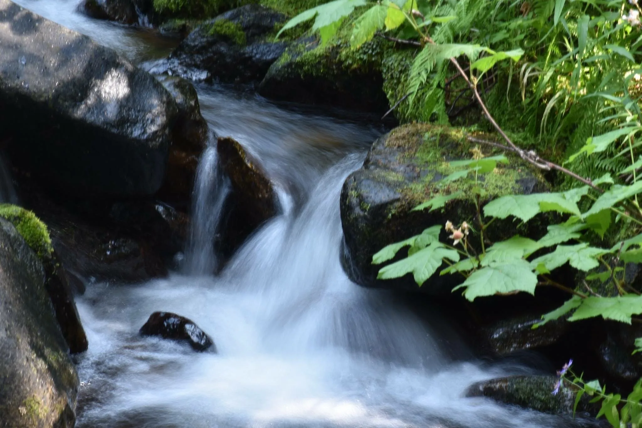 Creek