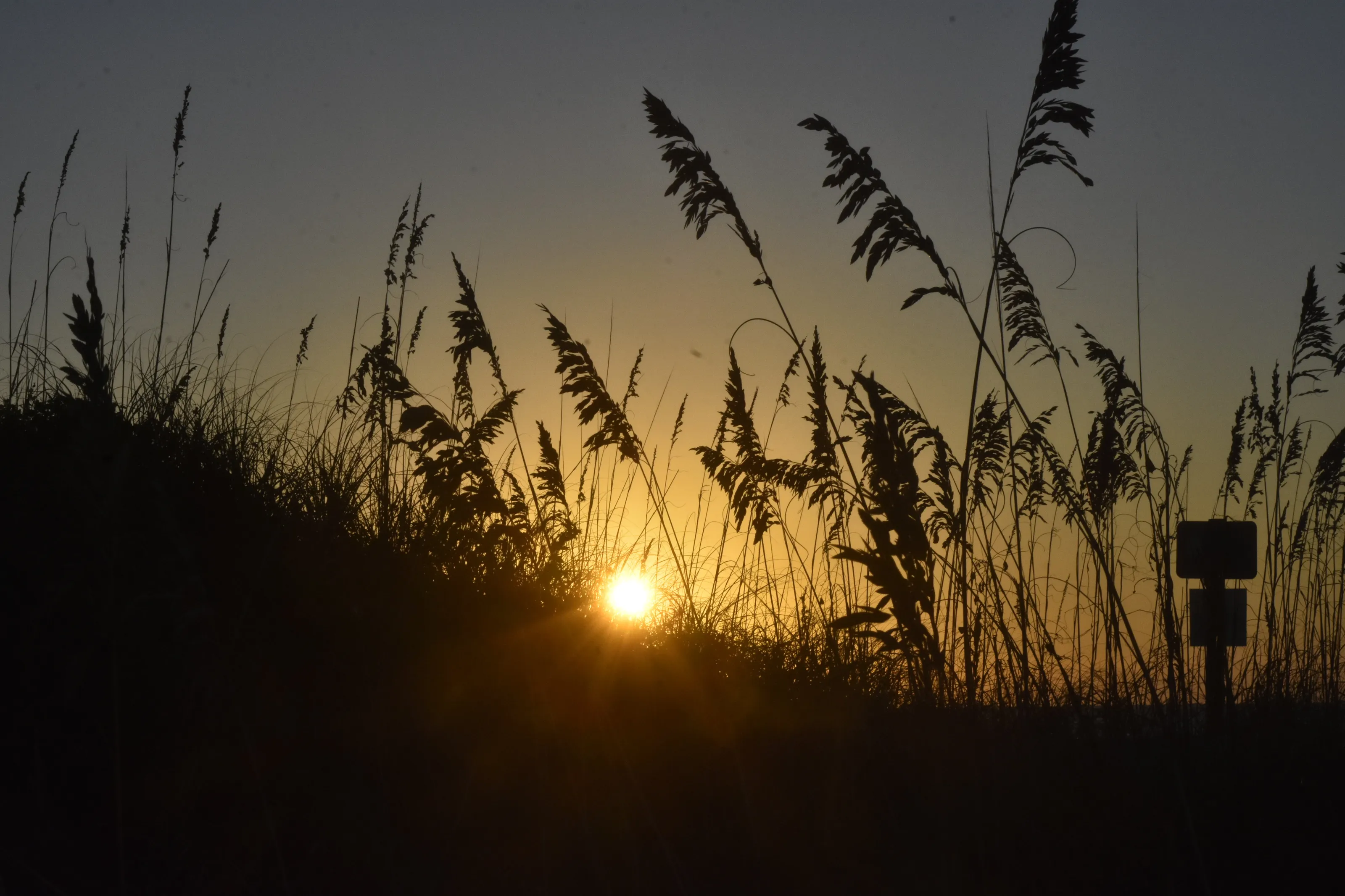Sunrise in Florida