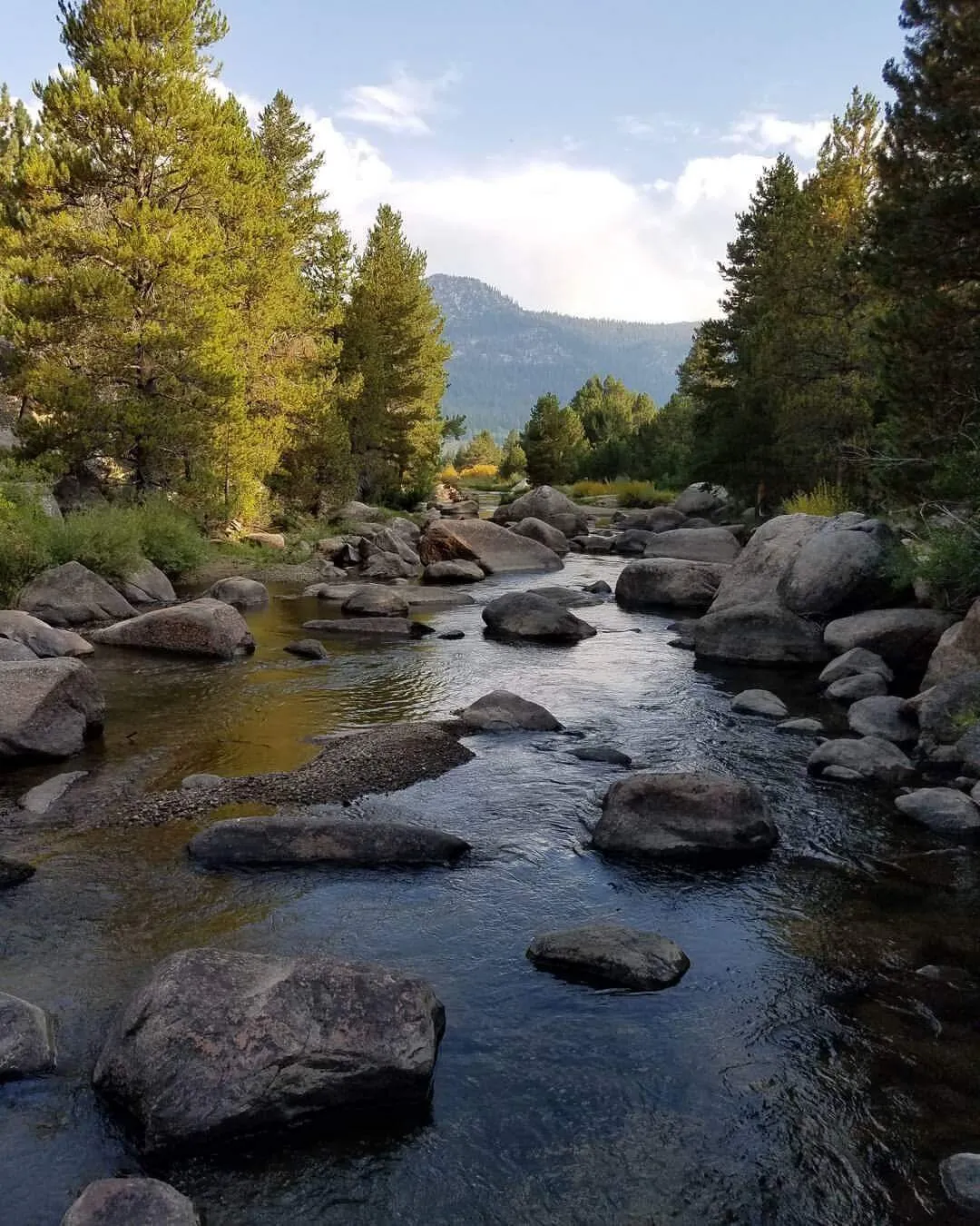 Carson River Flyfishing