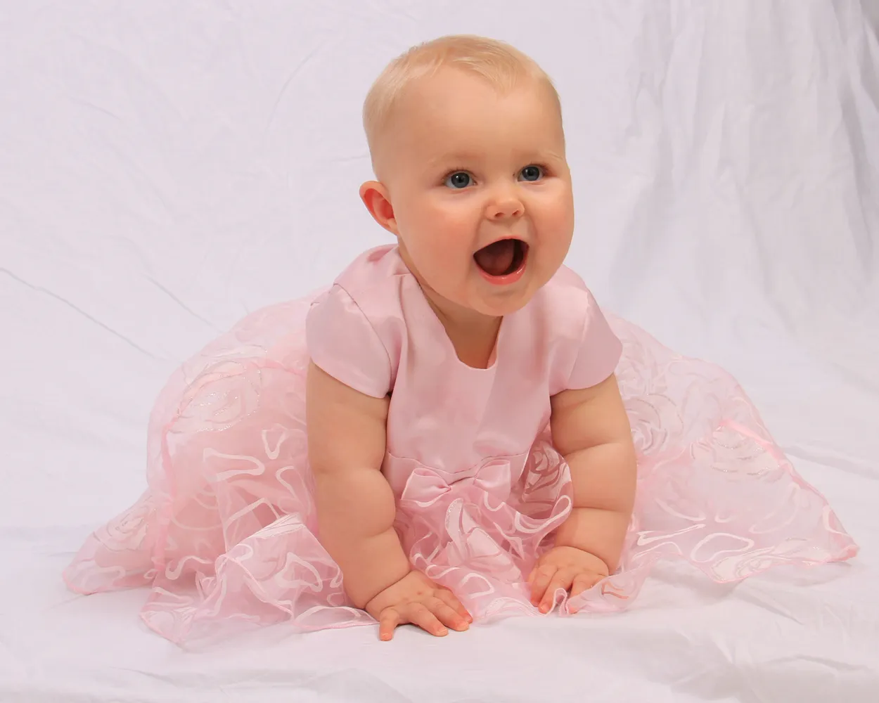 Entry 20422113