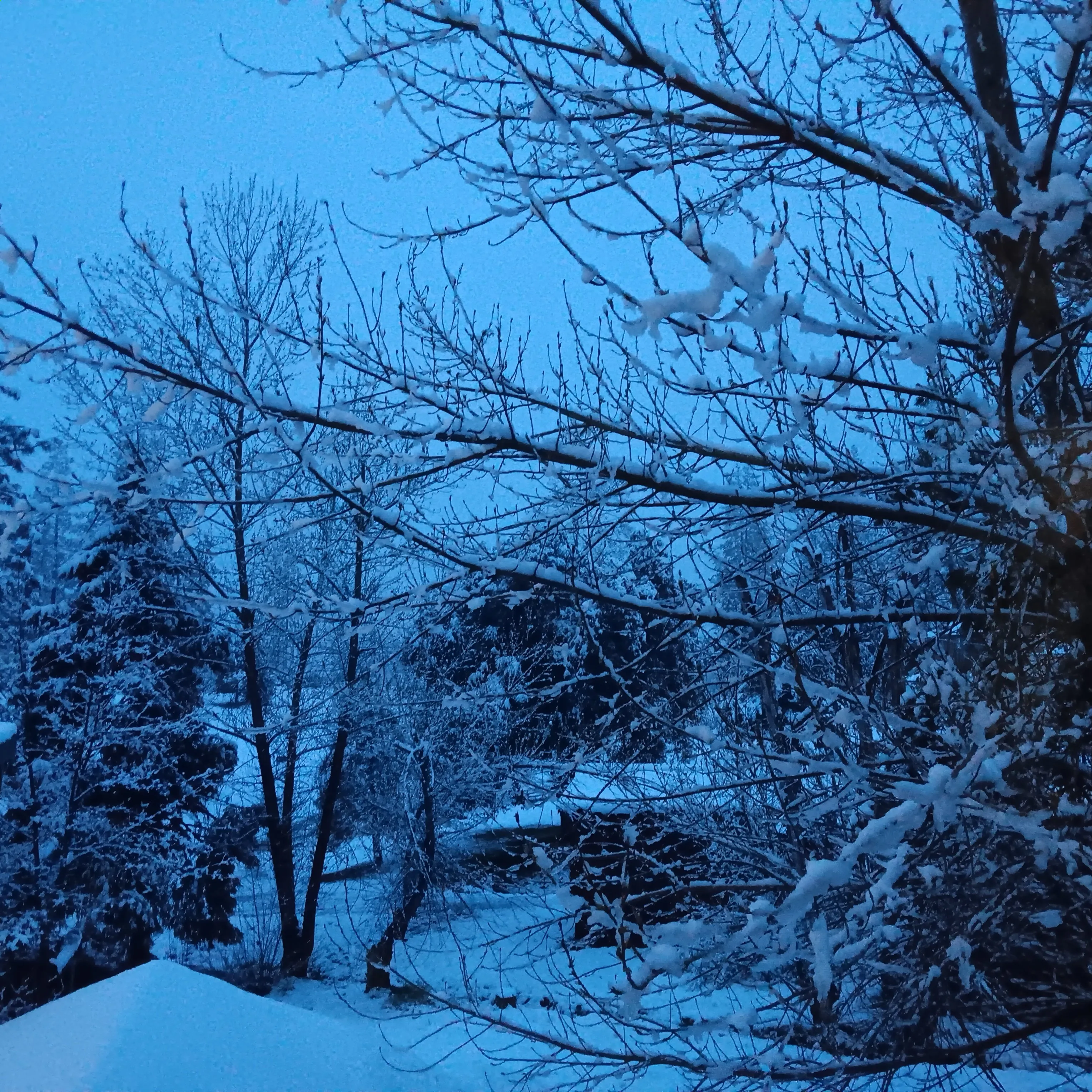 Natural Blue