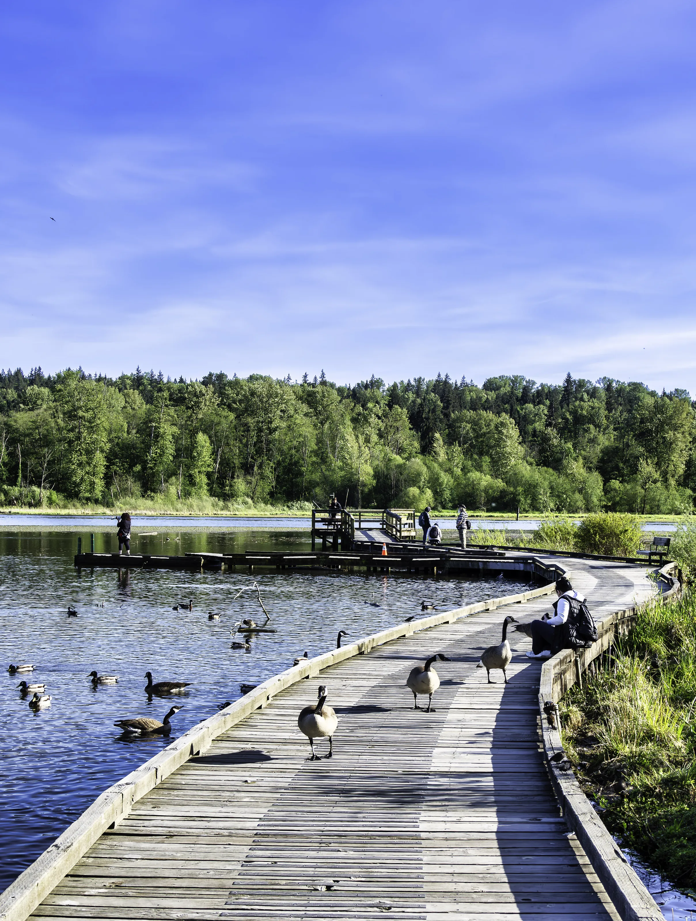 National or Provincial Park Landscapes (in colour)