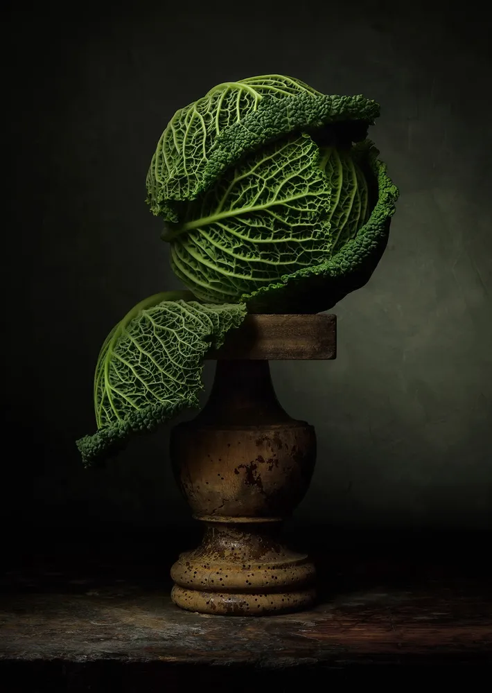 Savoy Cabbage
