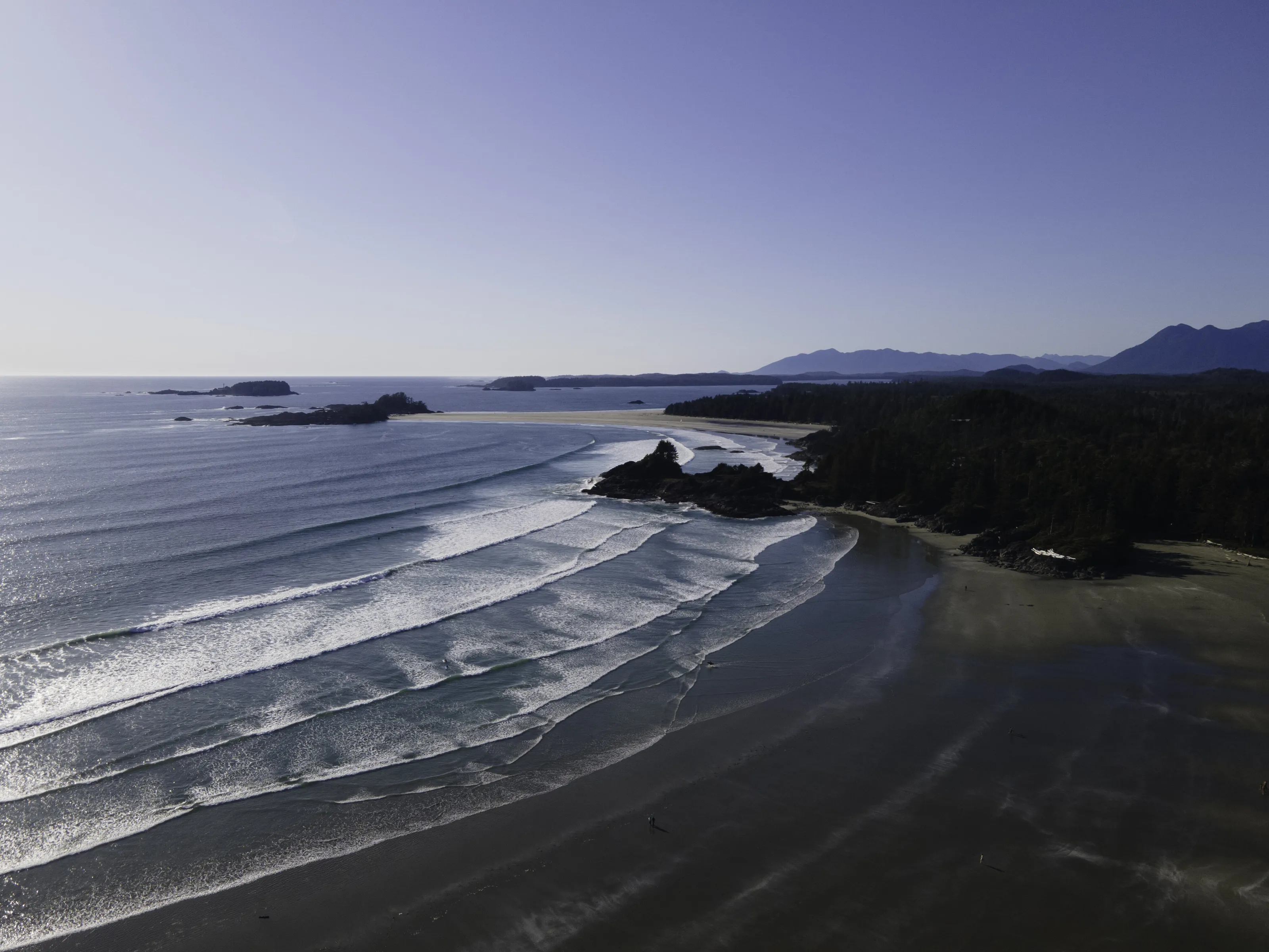 waves in toxin