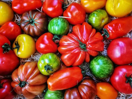 Mixed Tomatoes