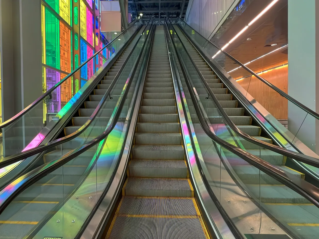 Entry 20496960