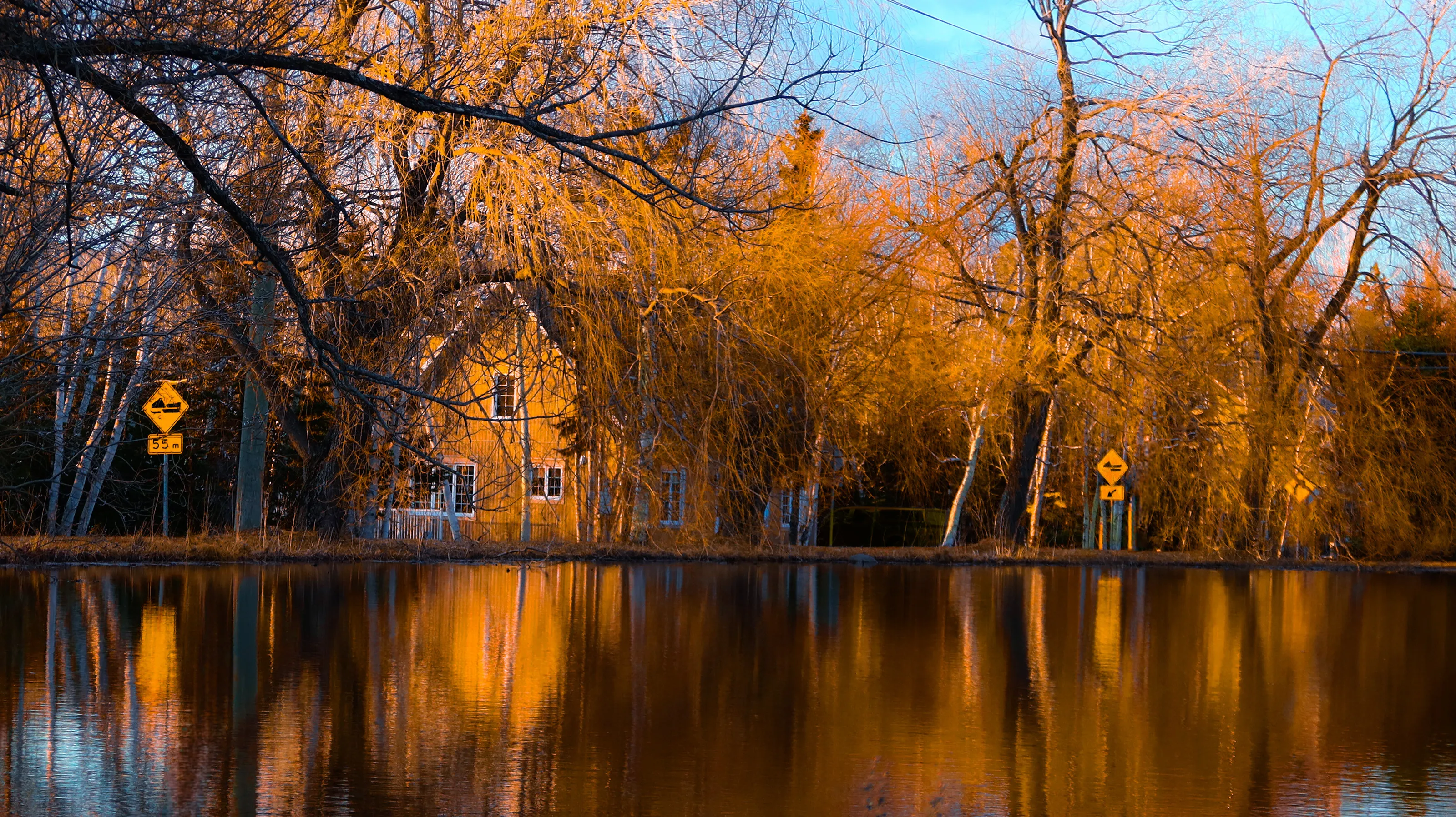 Orange house behind willows branches