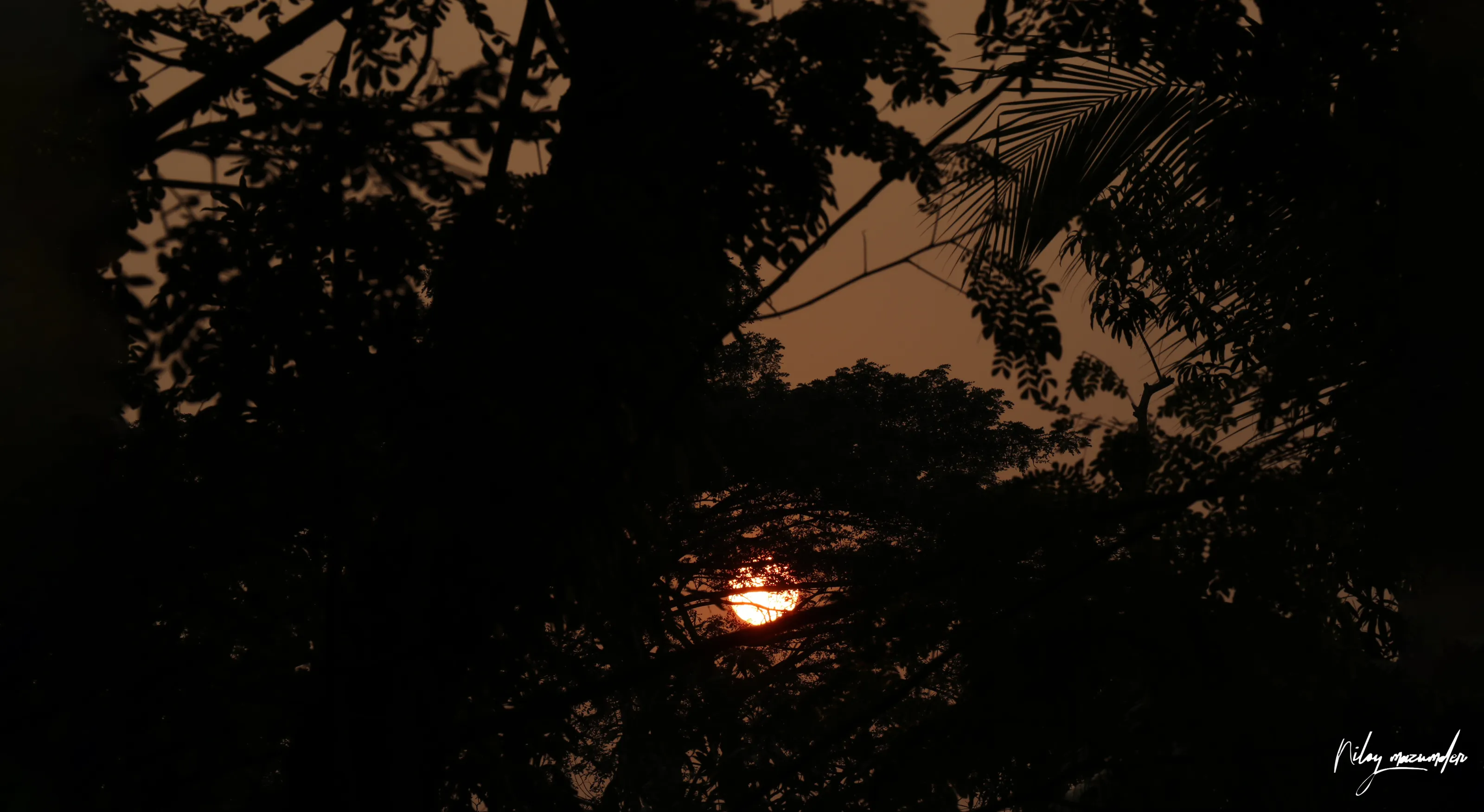 Hidden Sun