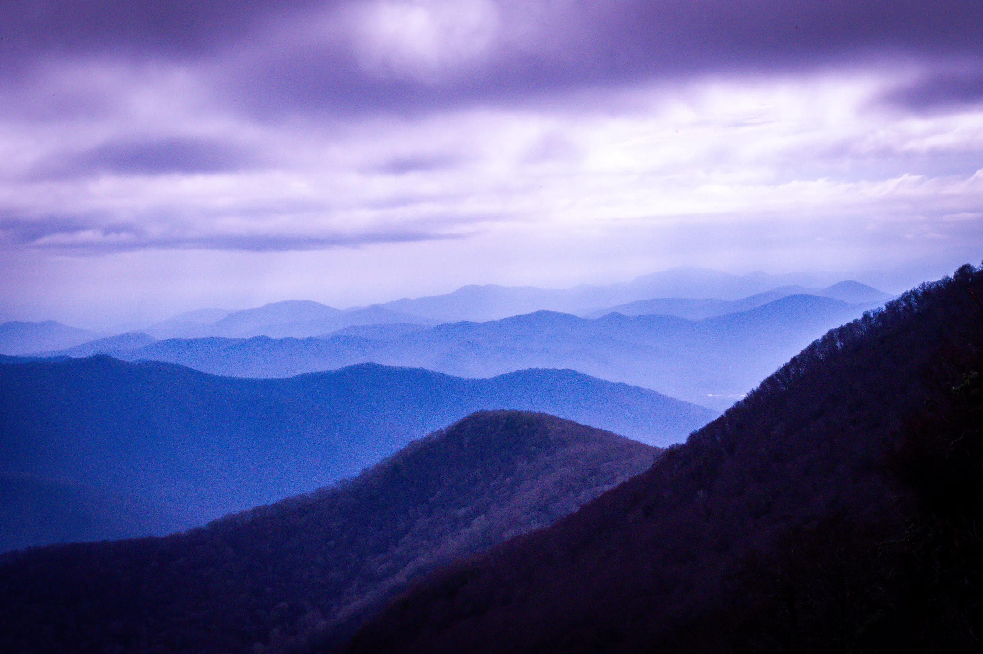 The Smokies