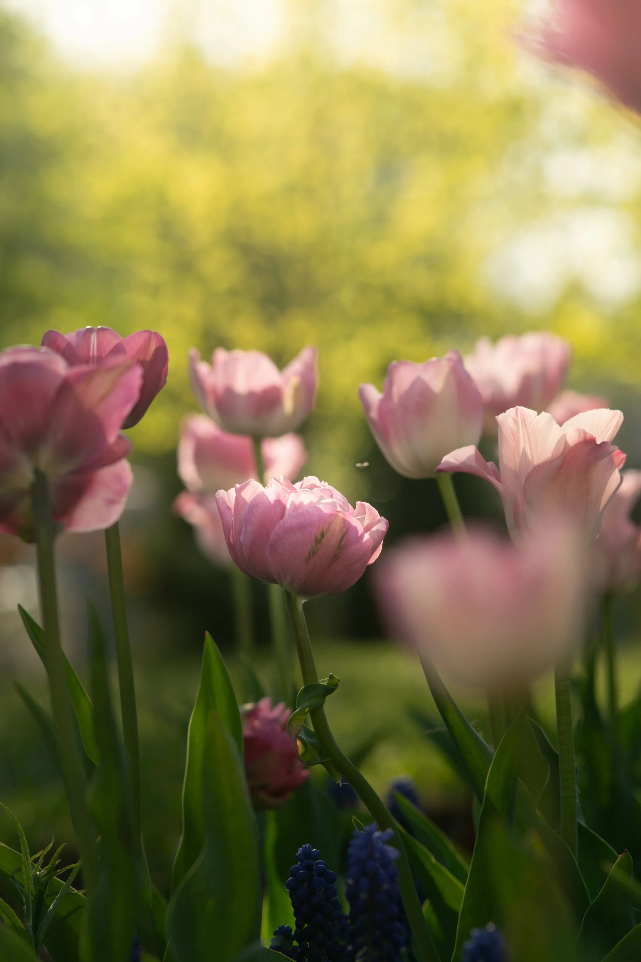 Spring is here