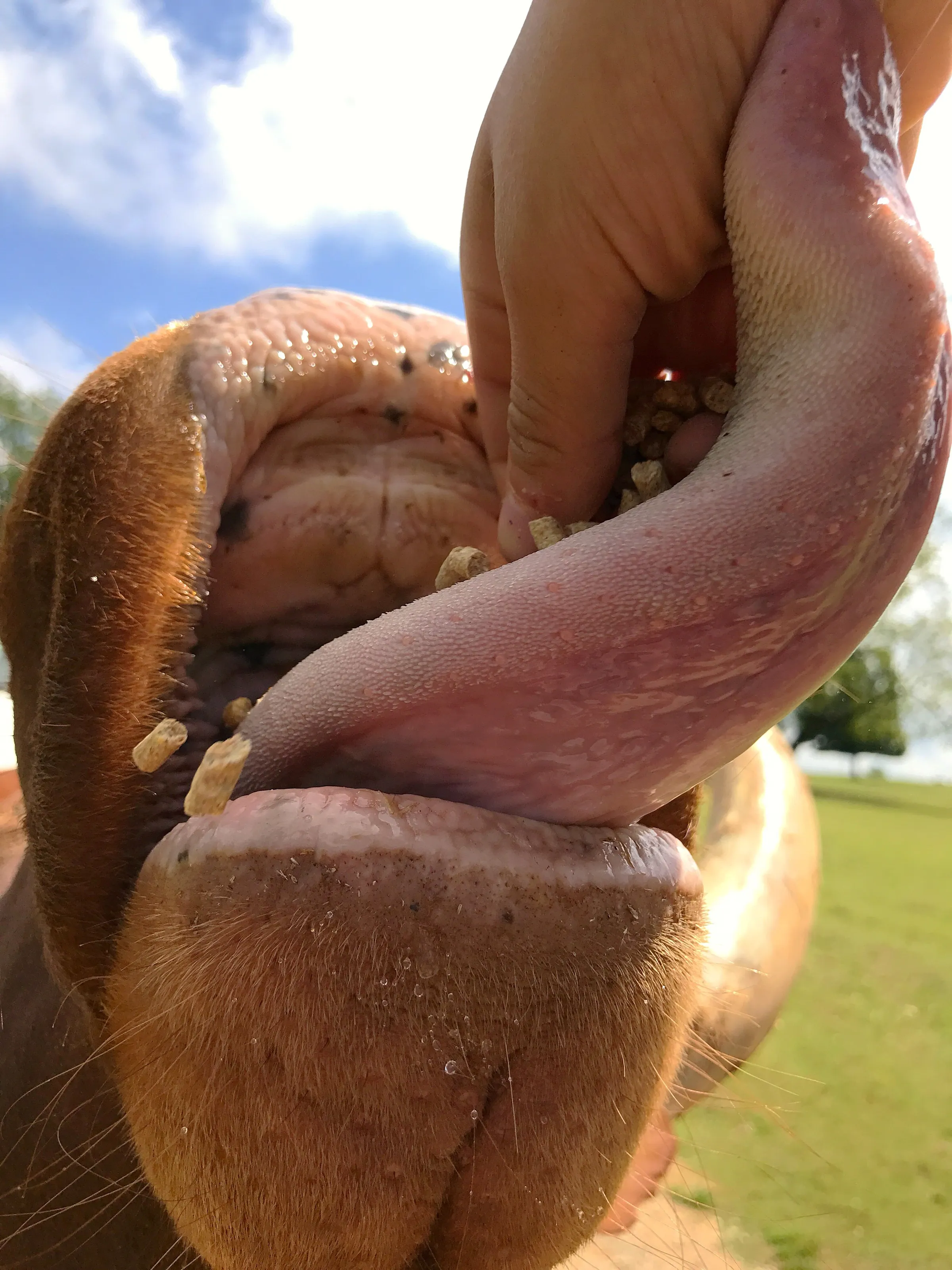 Feed me