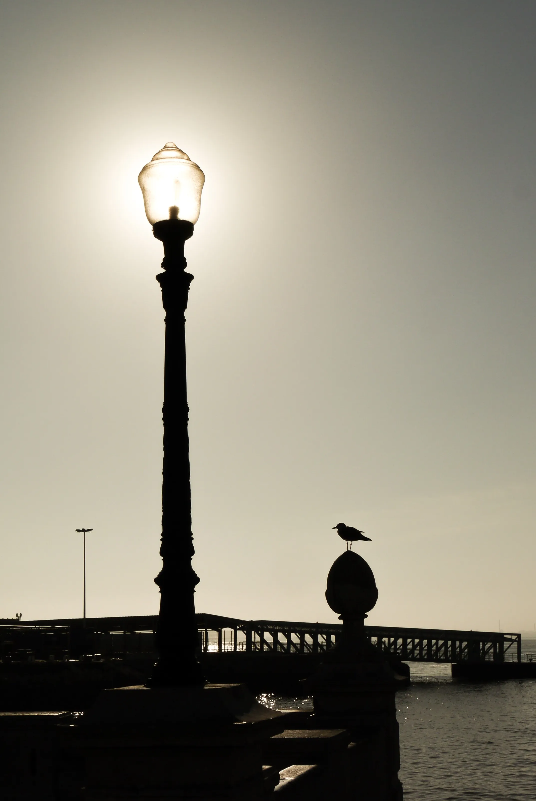 The sun behind the lamp: Lisbon's street light