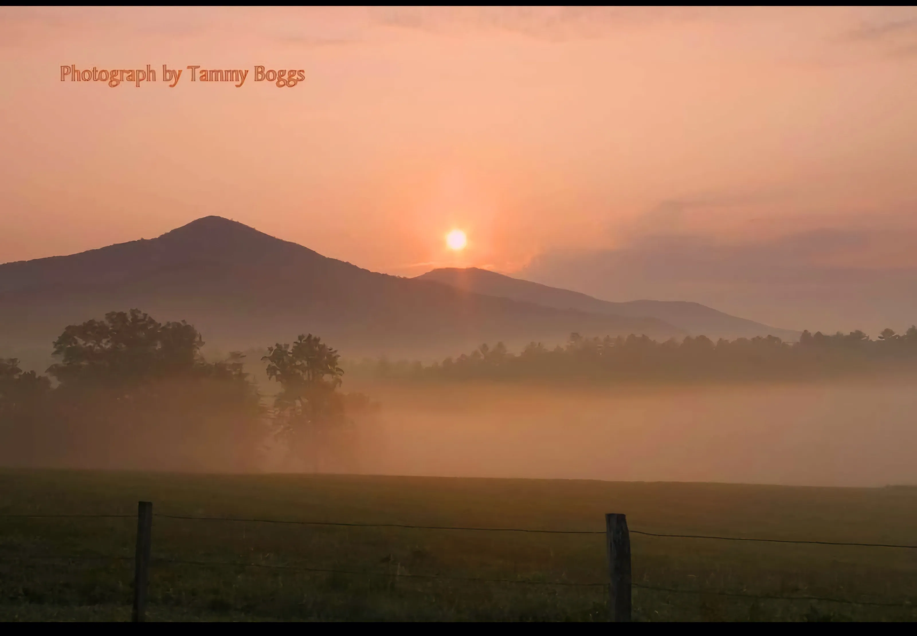 Misty Mountain sunrise