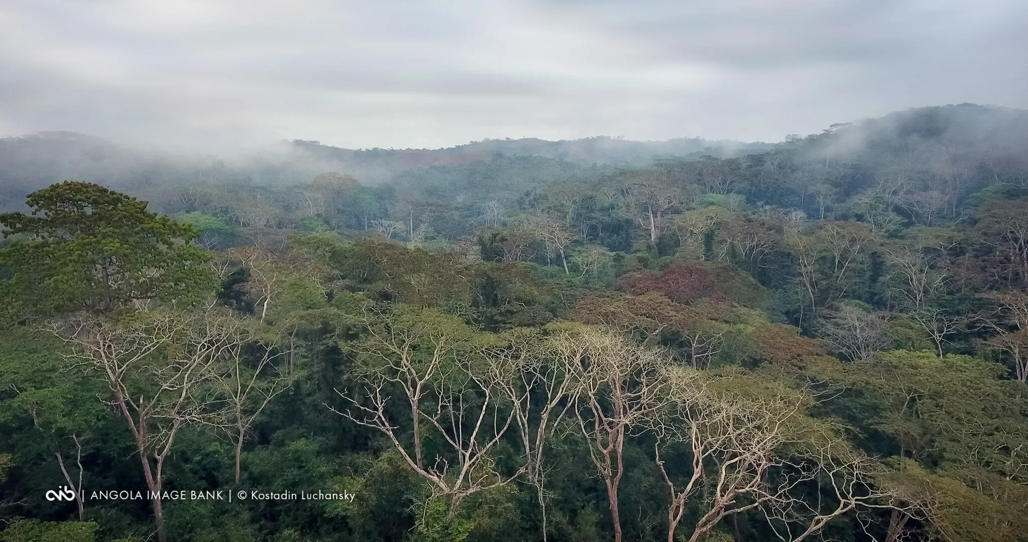 A tropical escarpment rain forest in North-Western Angola