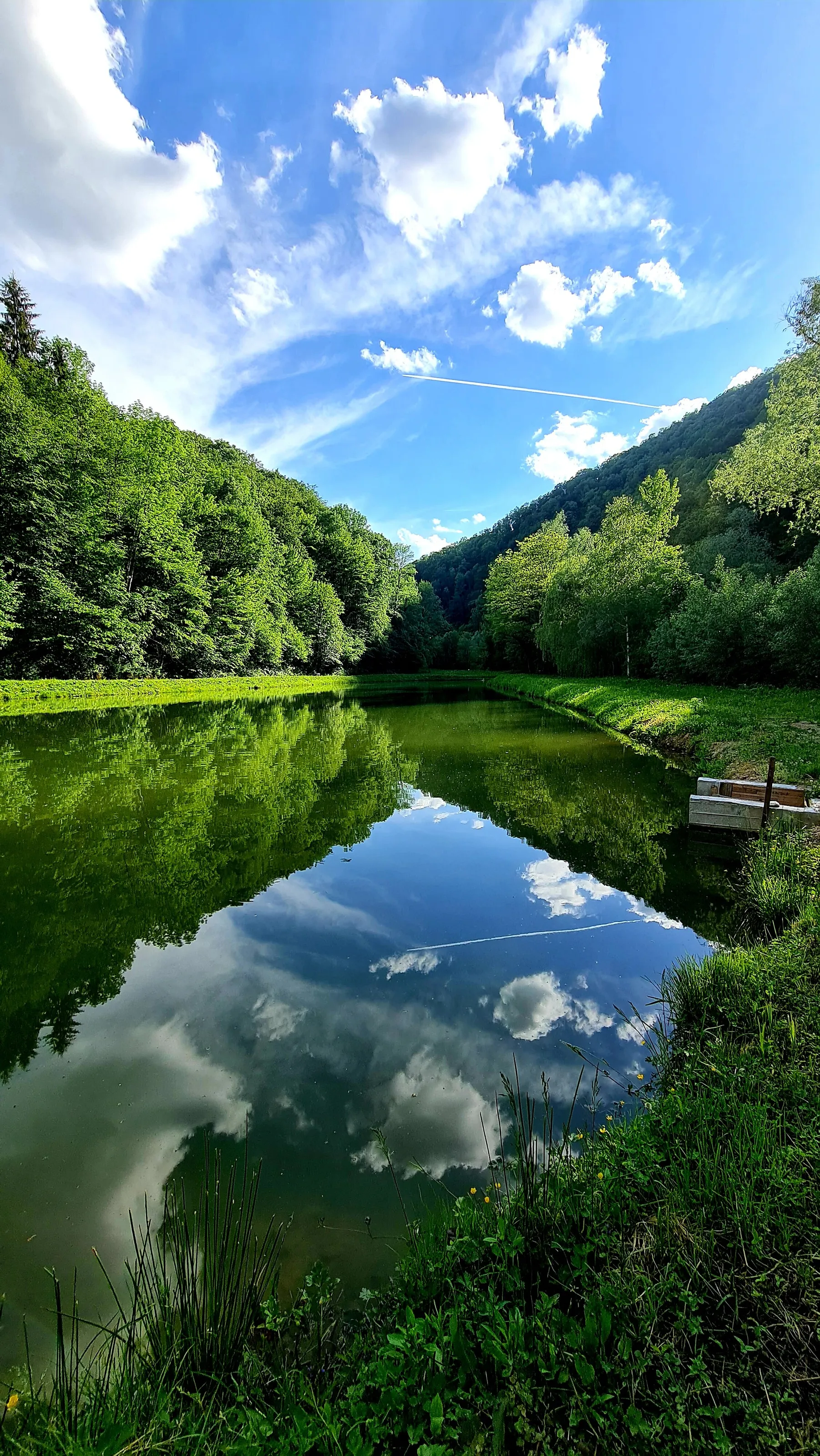 Blue-green dream