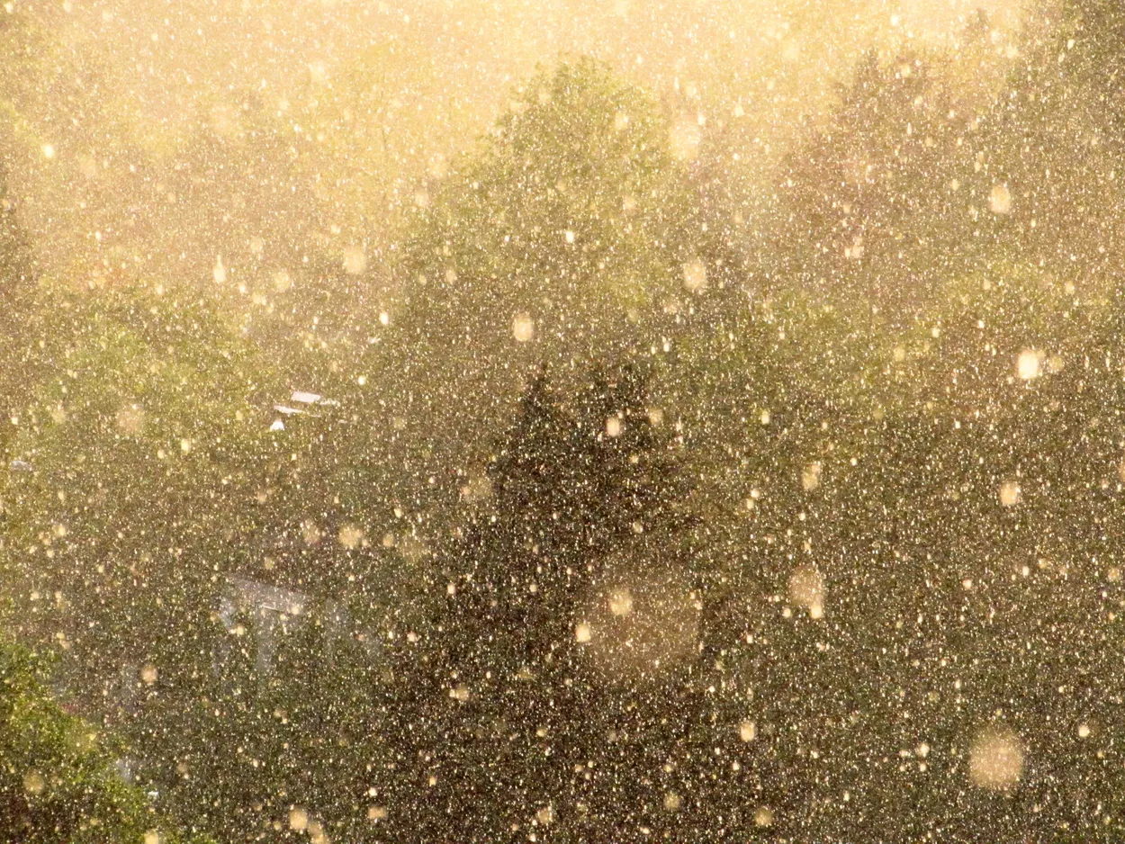 Golden abstract