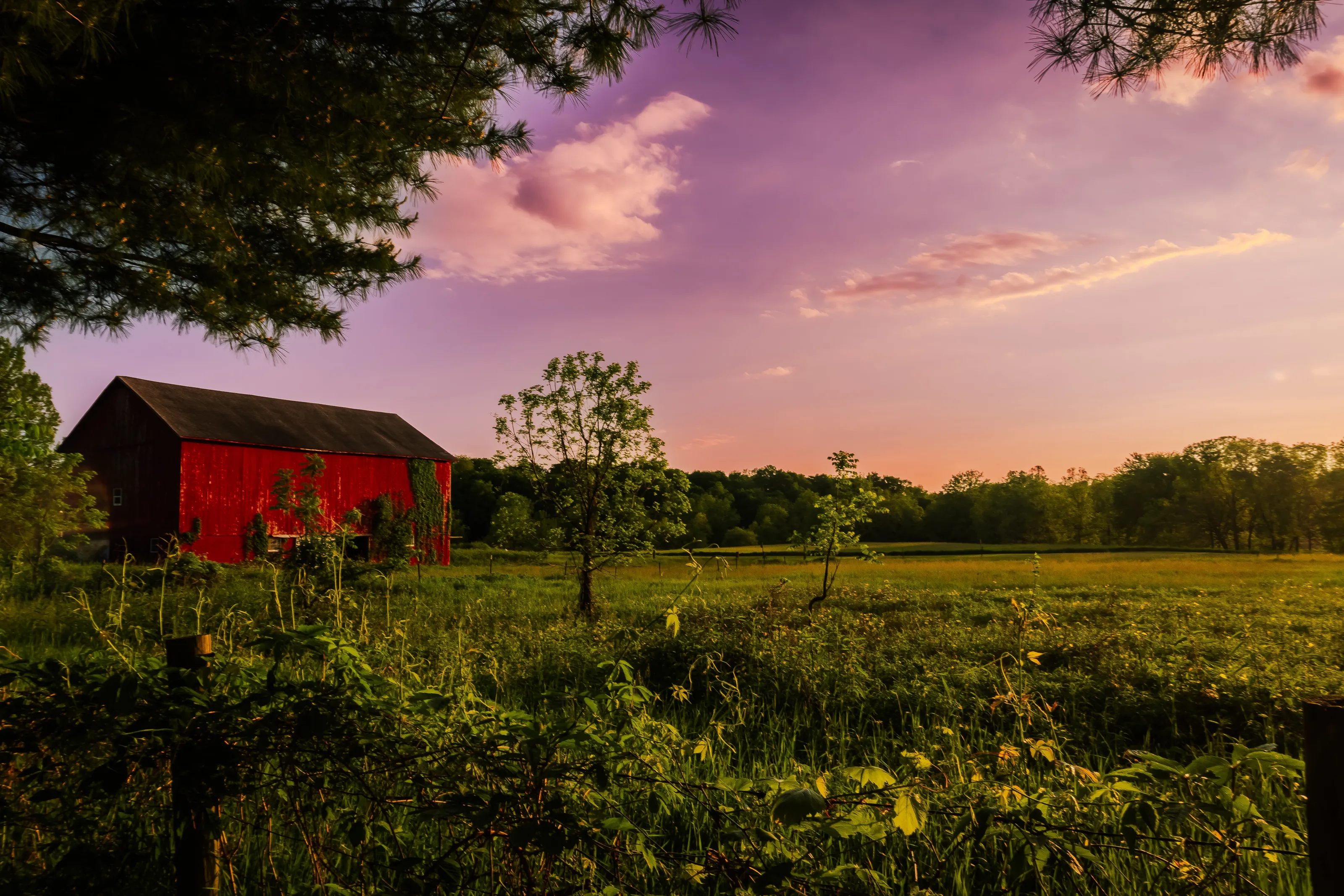 barn set