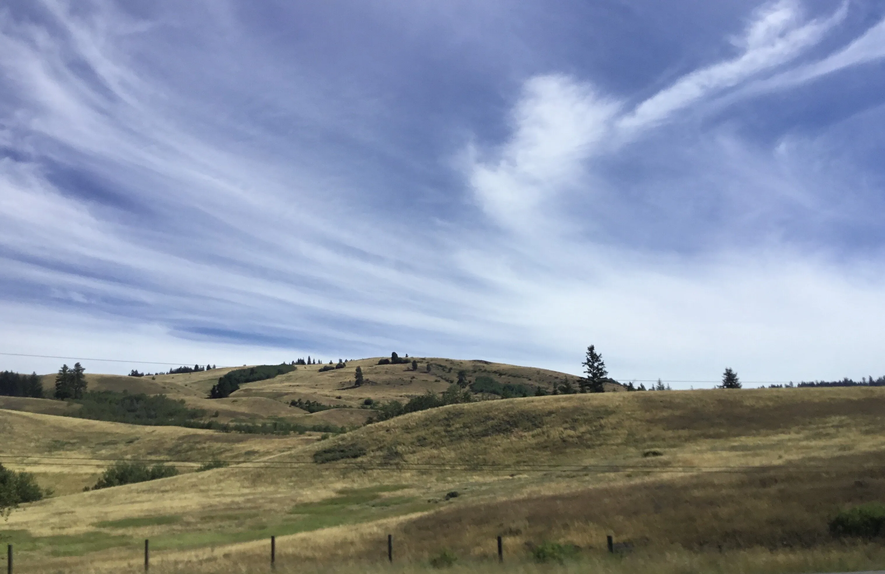 Who has seen the wind…