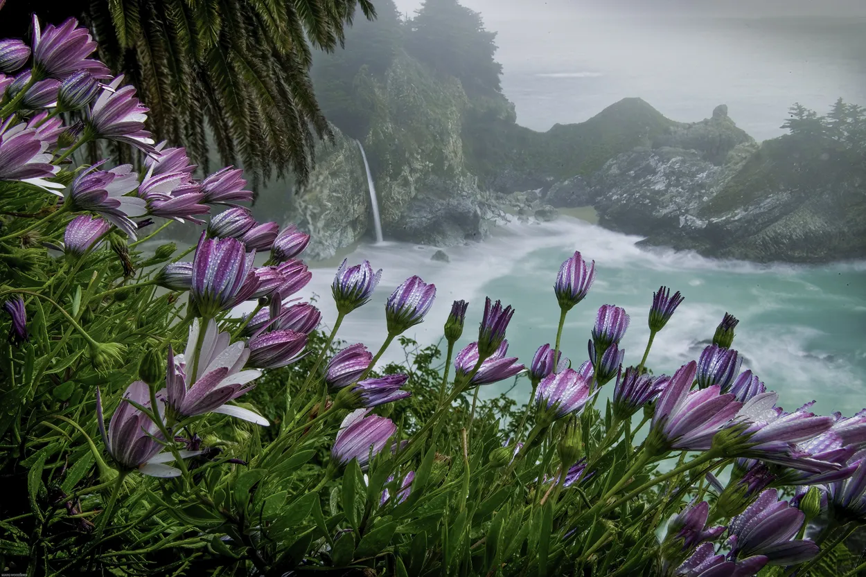 Entry 20547988