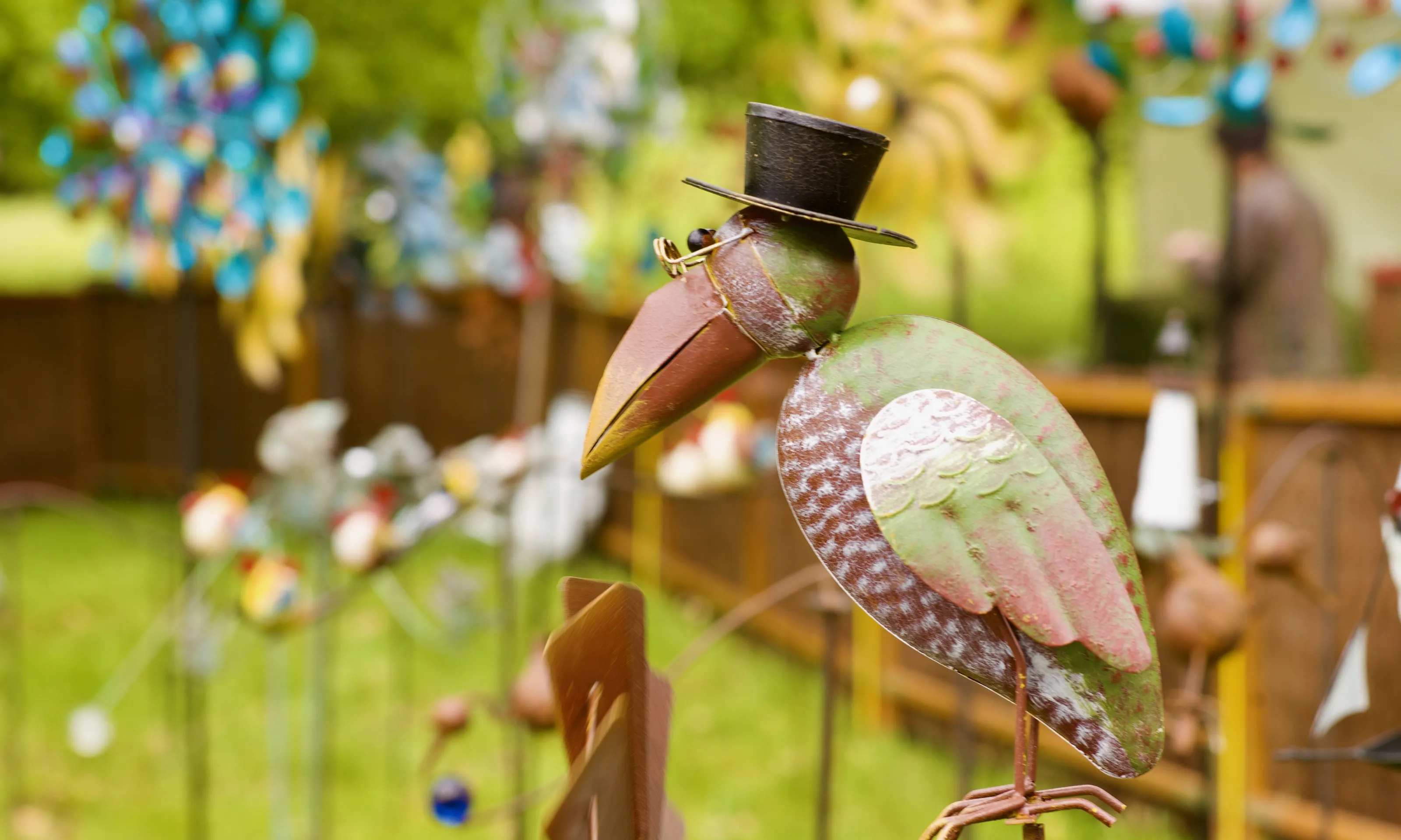 OGM Bird !