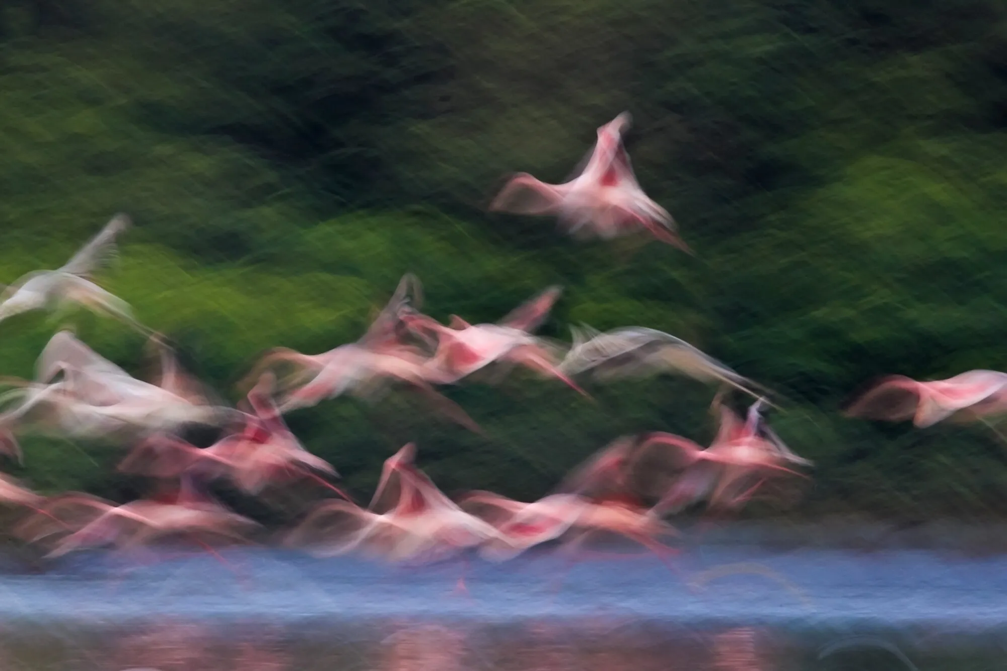 Dance on Water