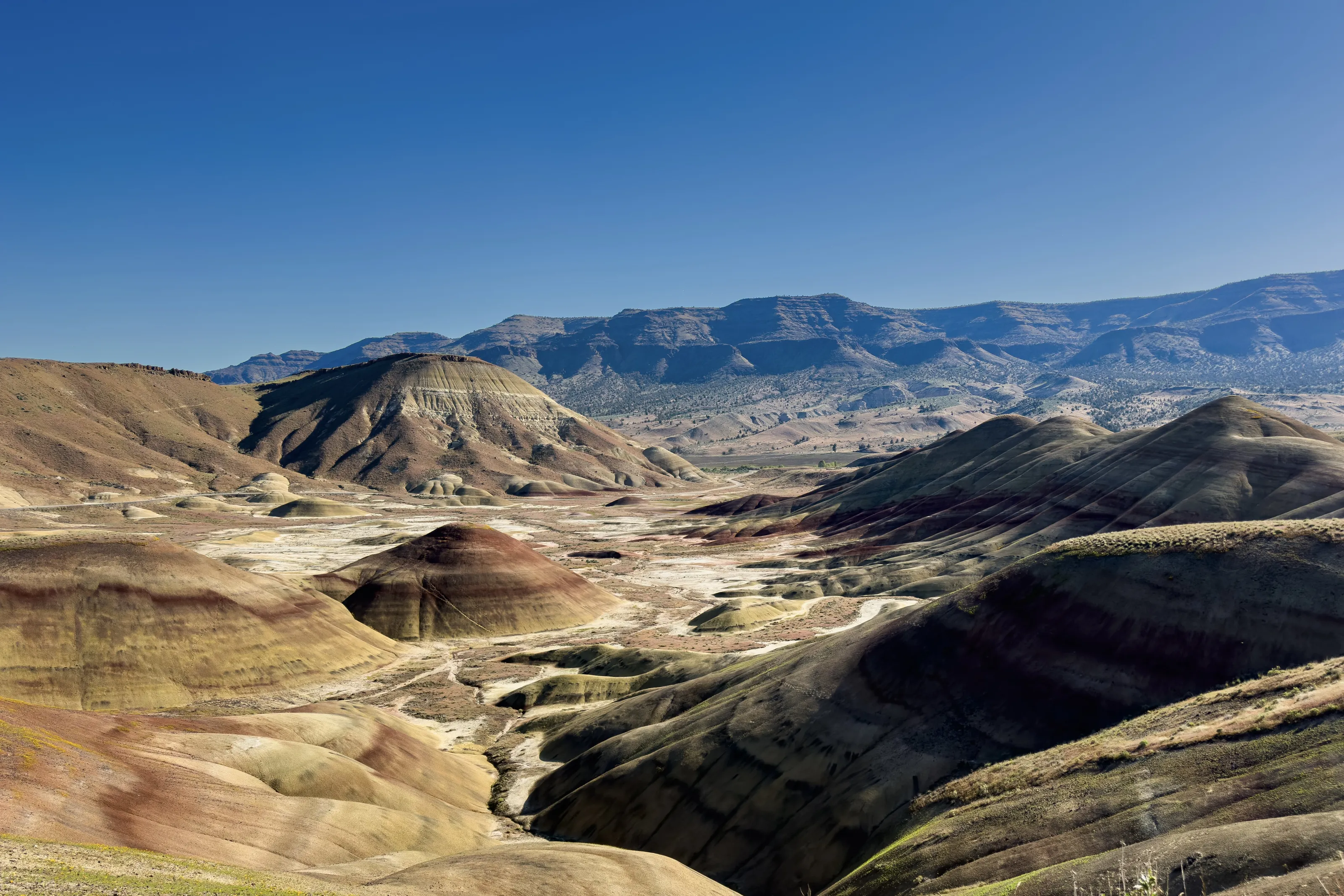 Earth's Palate