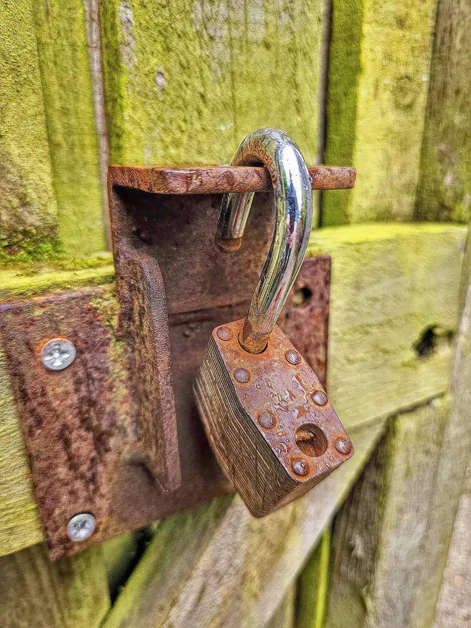 Entry 21890885