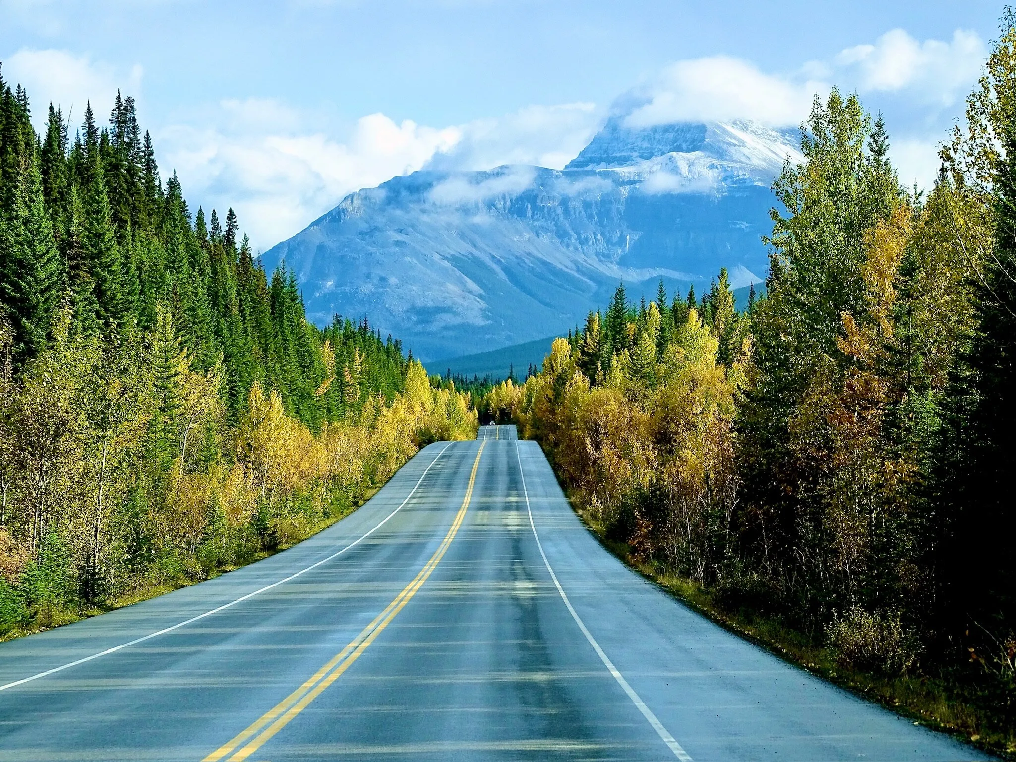Icefields Fall