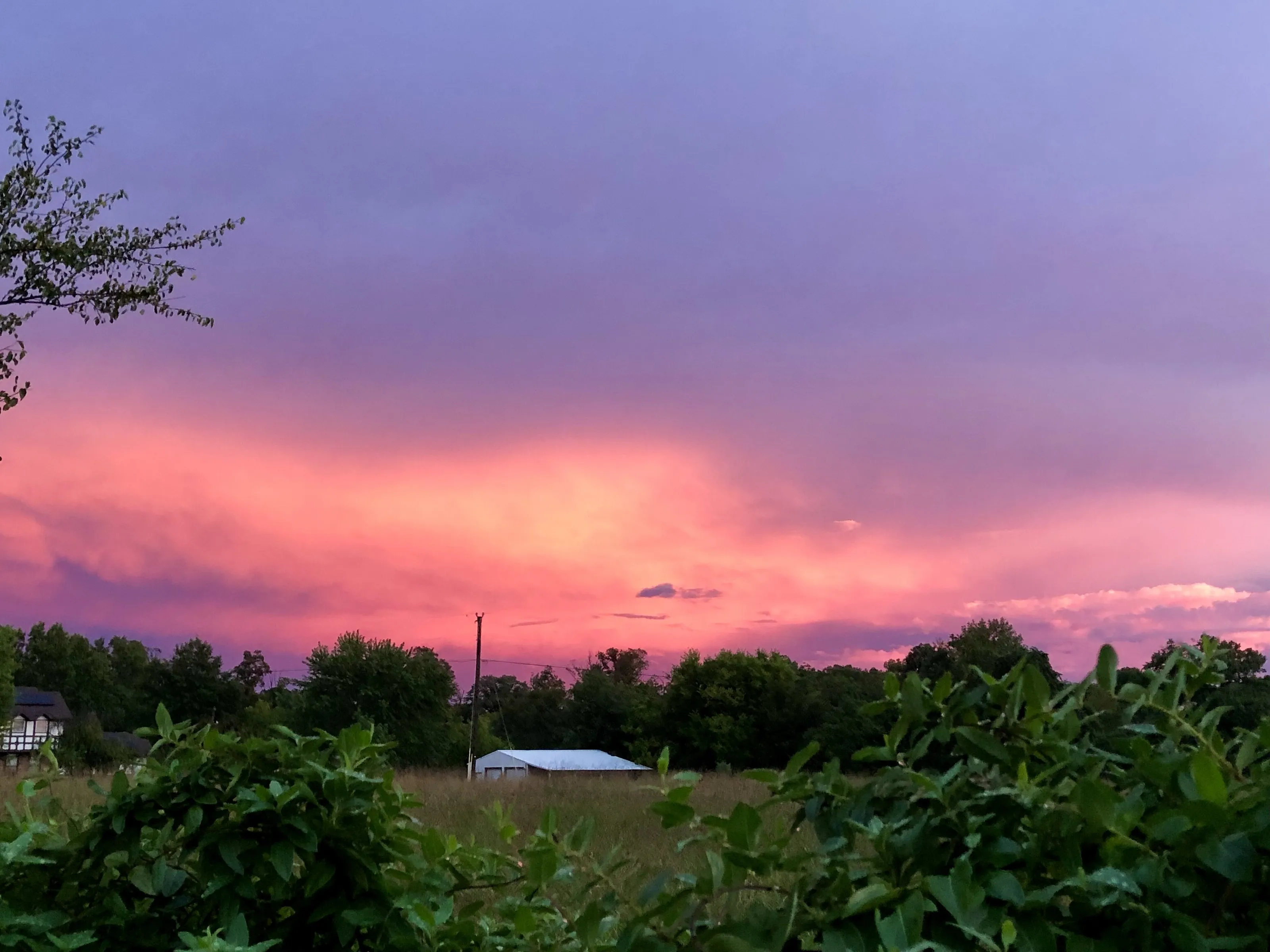 Fire in the Sky