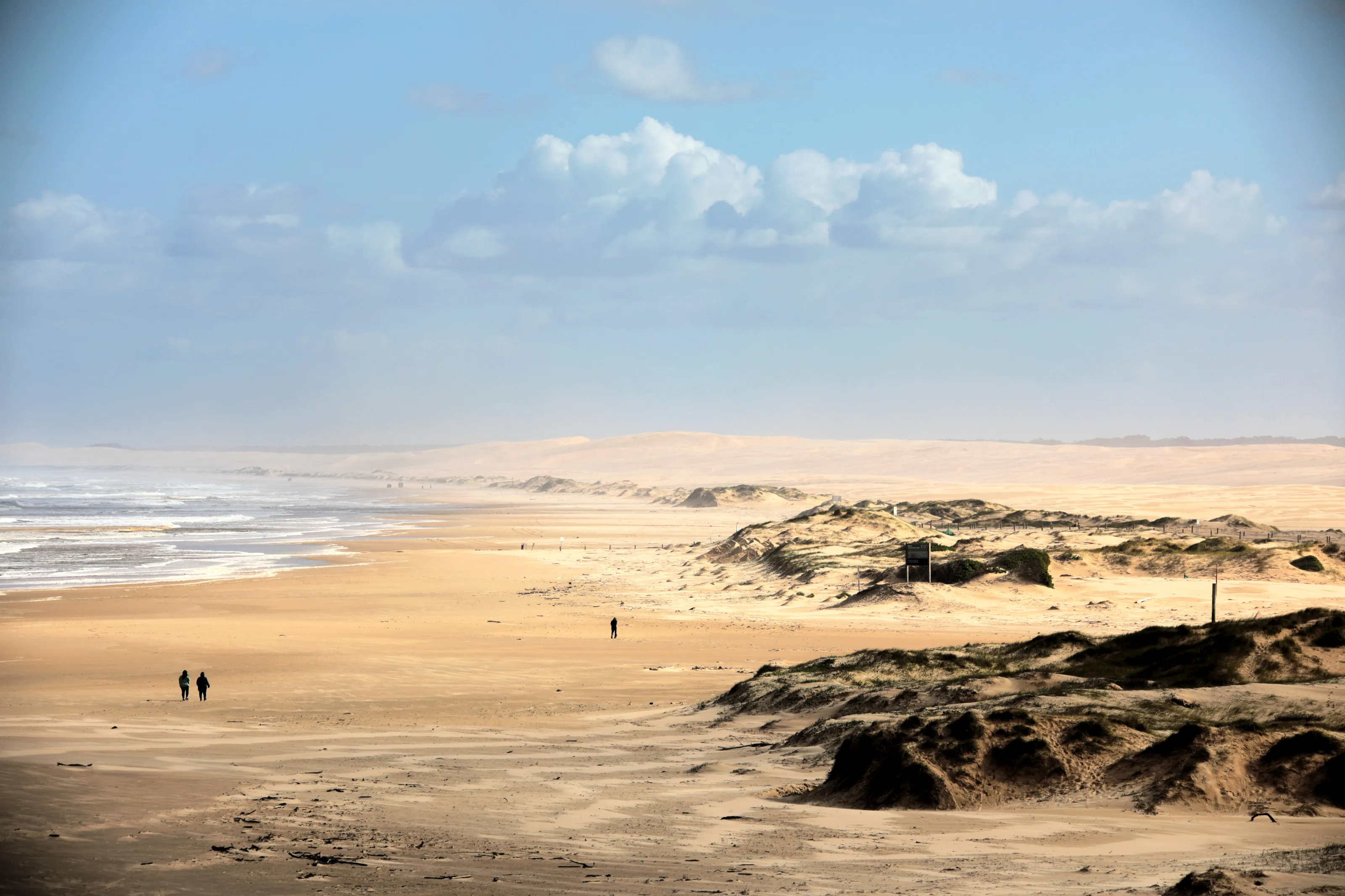 Where the Sea meets the Dunes